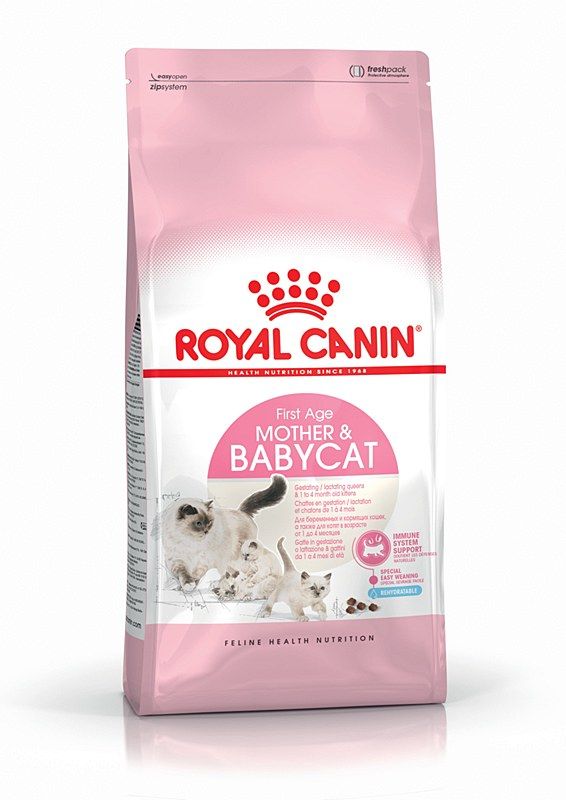 Bolsa rosa de comida para gatos Royal Canin Mother & Babycat, con una gata madre y gatitos, de color blanco y gris.