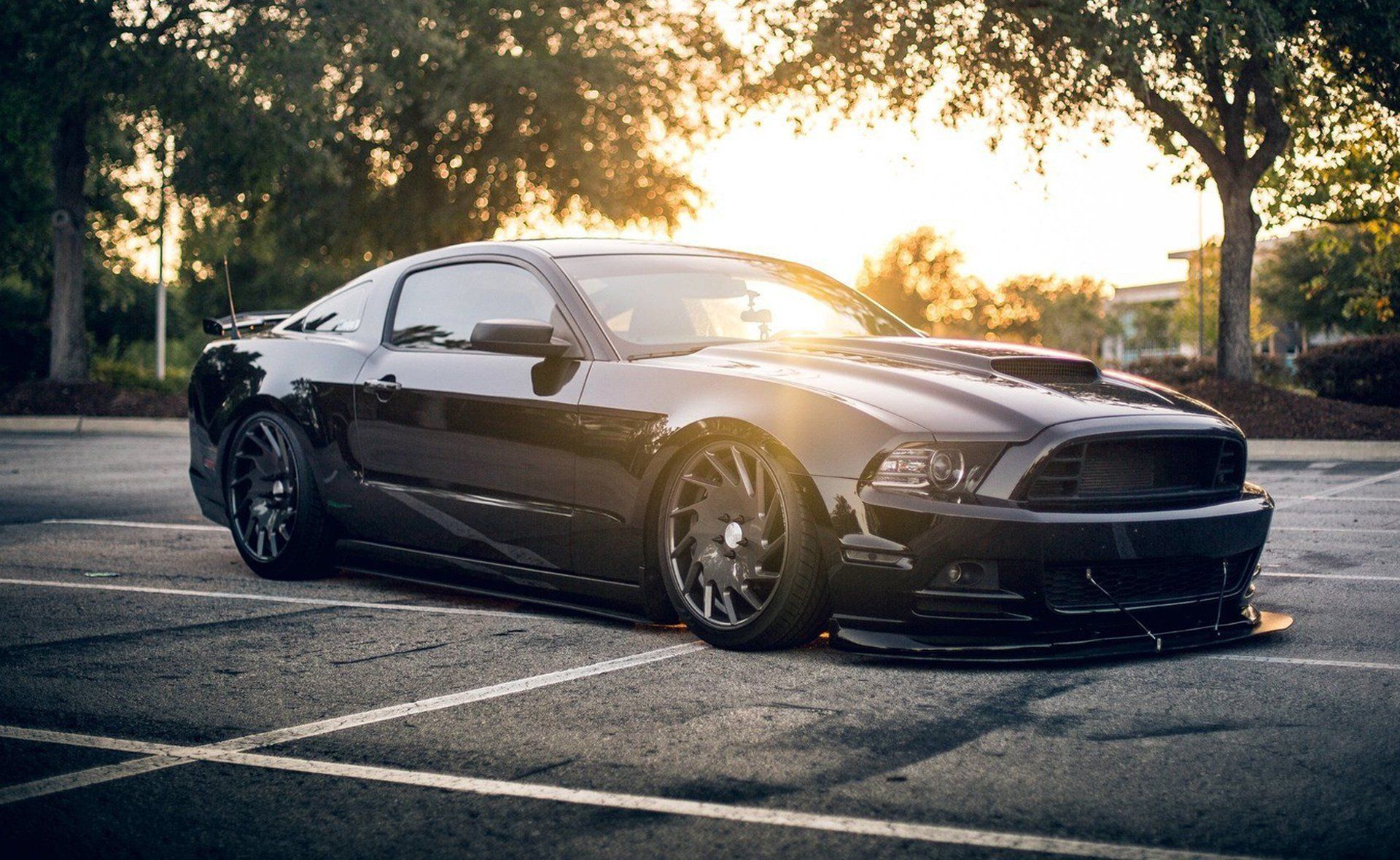 auto window tint