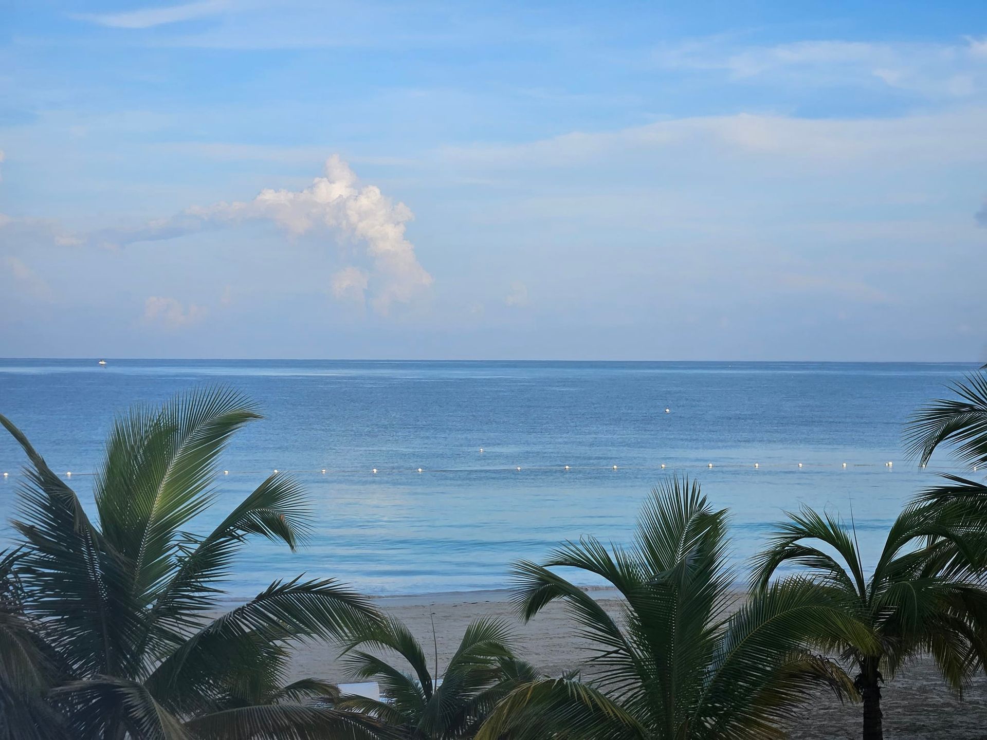 A view of the ocean from a beach with palm trees in the foreground