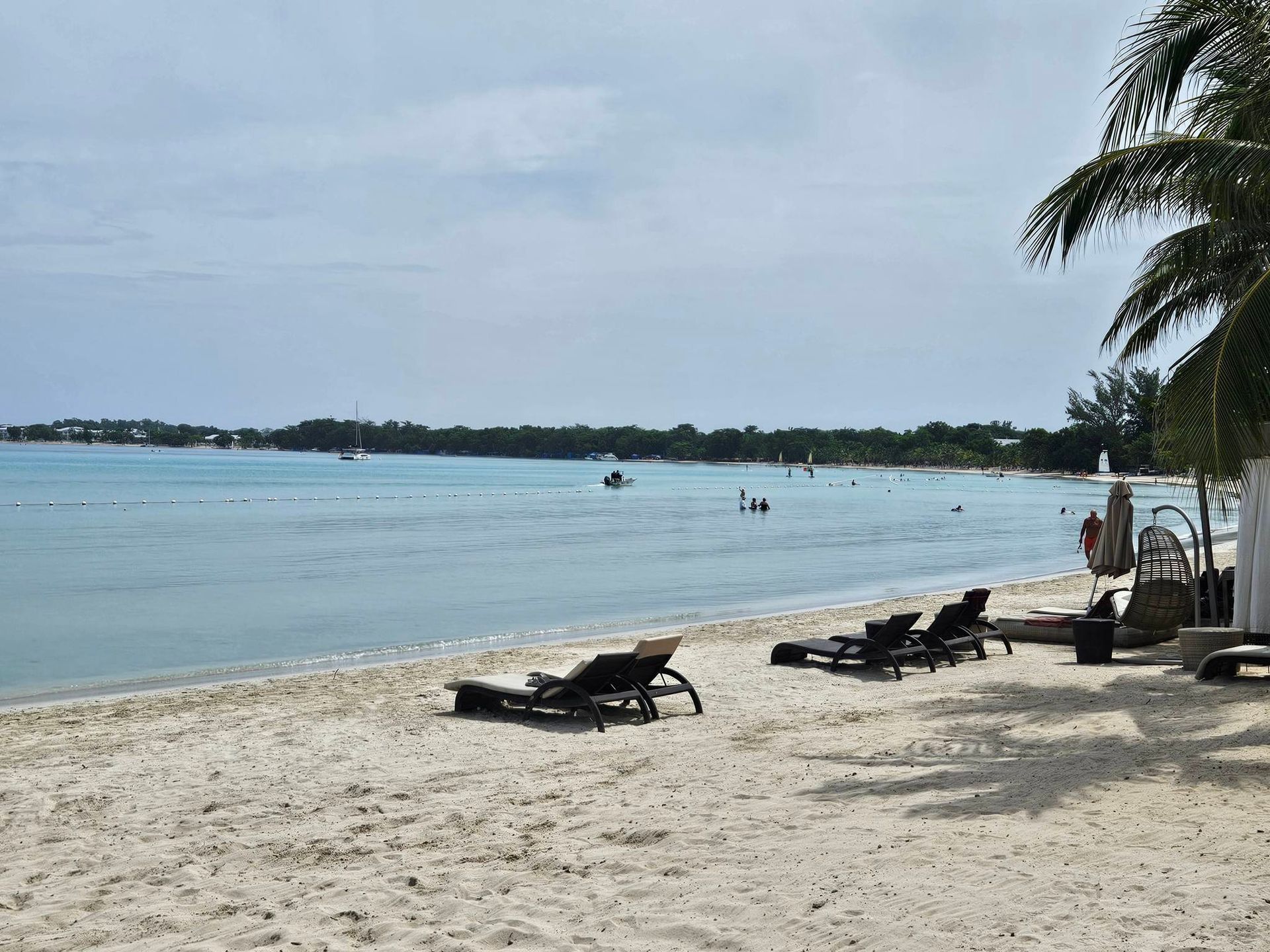 A beach with chairs and a palm tree in the foreground and a body of water in the background.