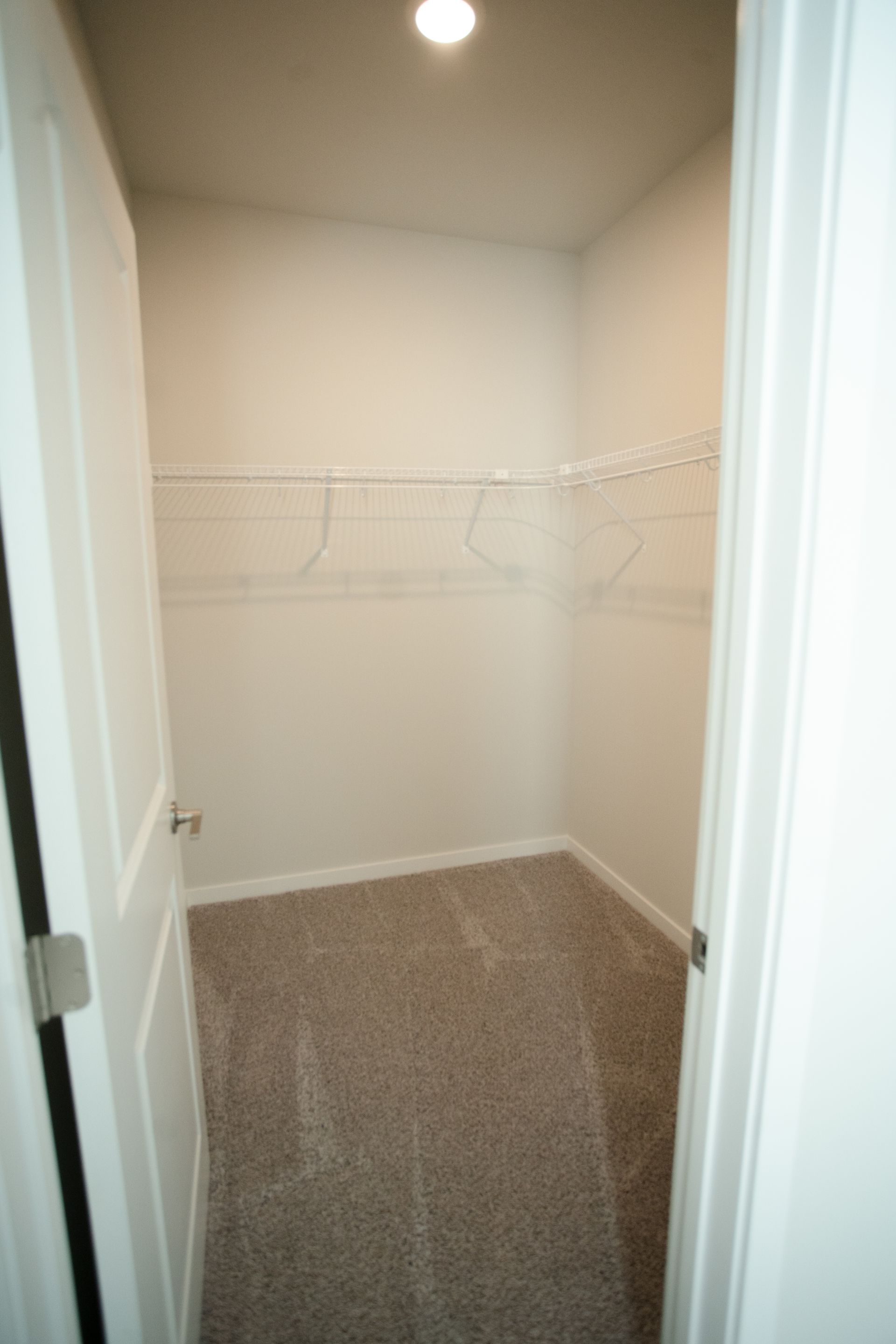 A walk in closet with a carpeted floor and hanging racks.