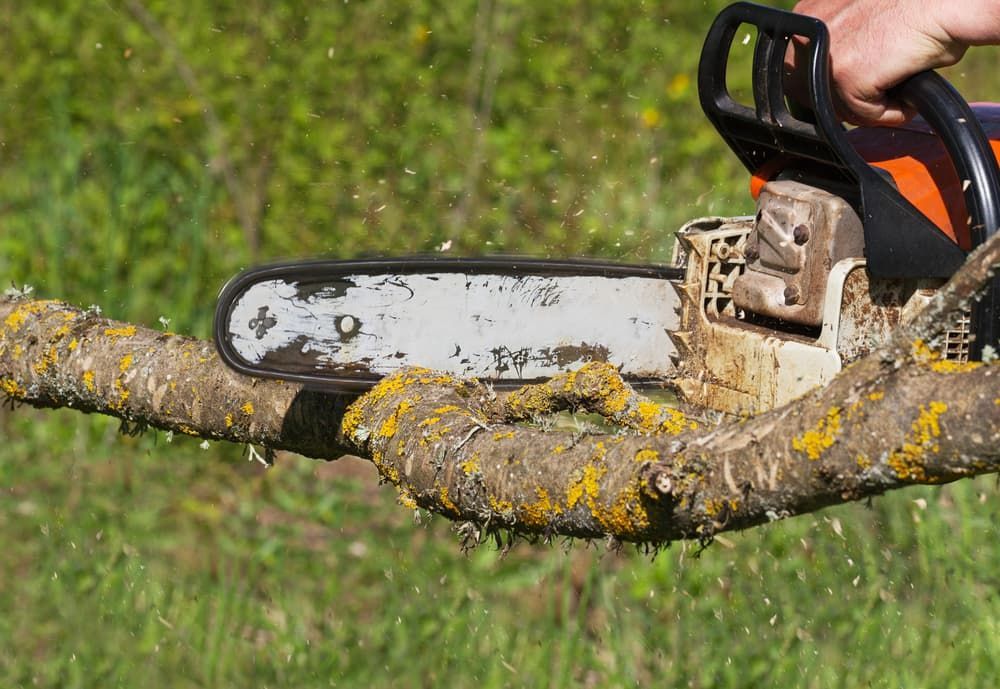 A Person is Cutting a Tree Branch With a Chainsaw — Land to Mow Garden Services Wagga In Wagga Wagga, NSW