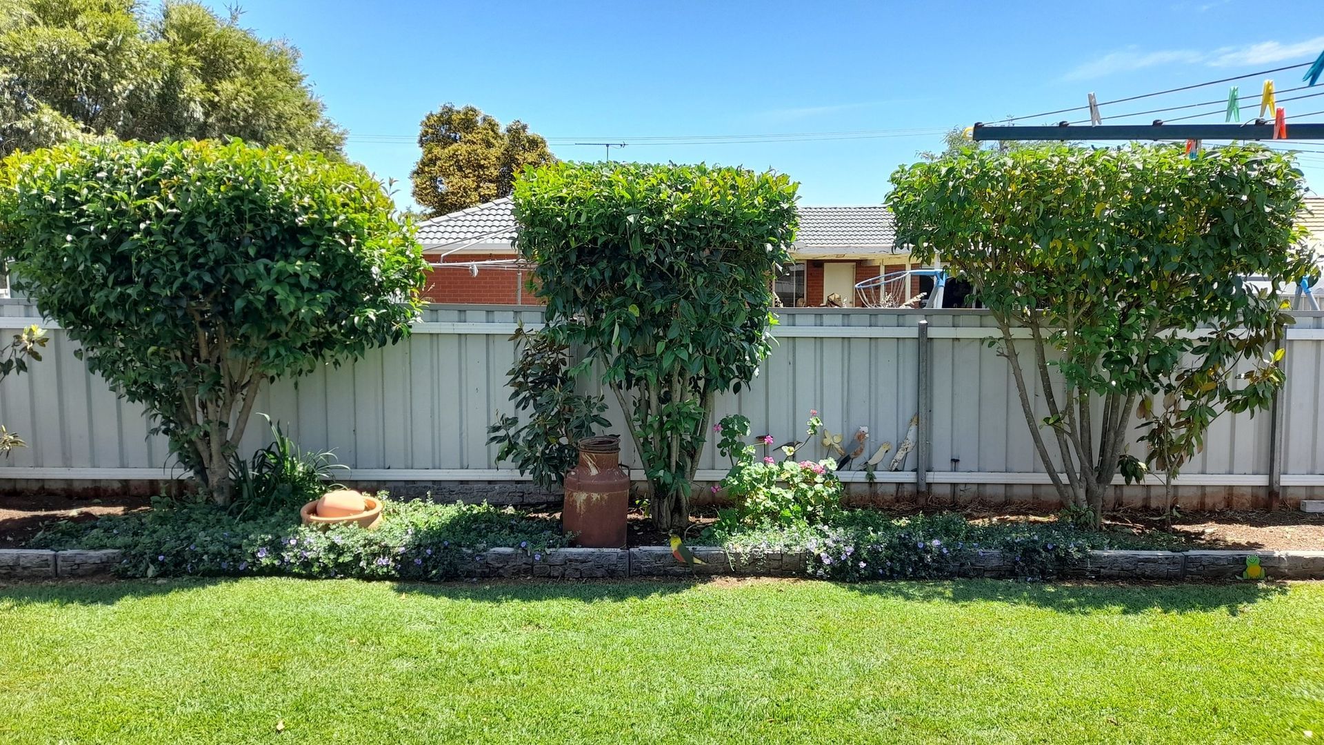 A Man is Using a Lawn Mower to Cut the Grass in a Garden — Land to Mow Garden Services Wagga In Wagga Wagga, NSW