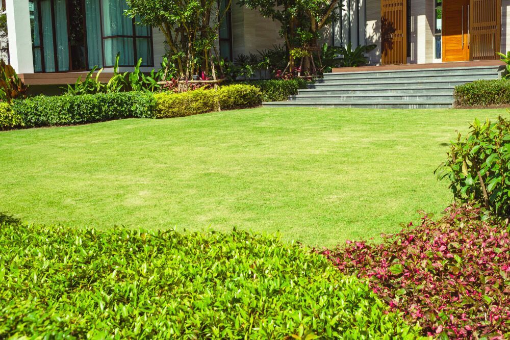 A Large Lush Green Lawn in Front of a House — Land to Mow Garden Services Wagga In Junee, NSW