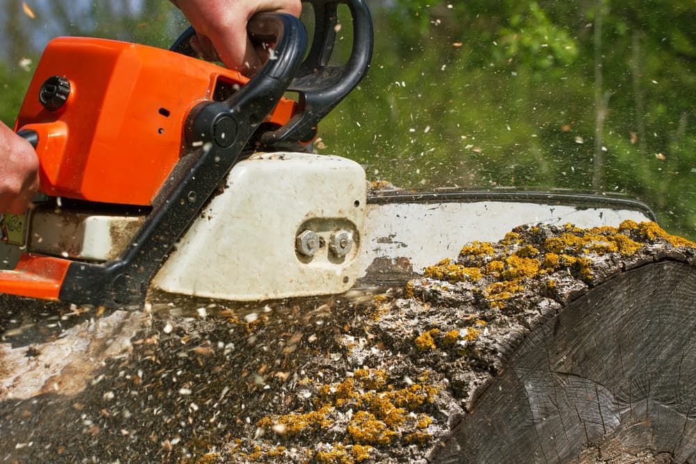 A Person is Cutting a Tree With a Chainsaw — Land to Mow Garden Services Wagga In Wagga Wagga, NSW