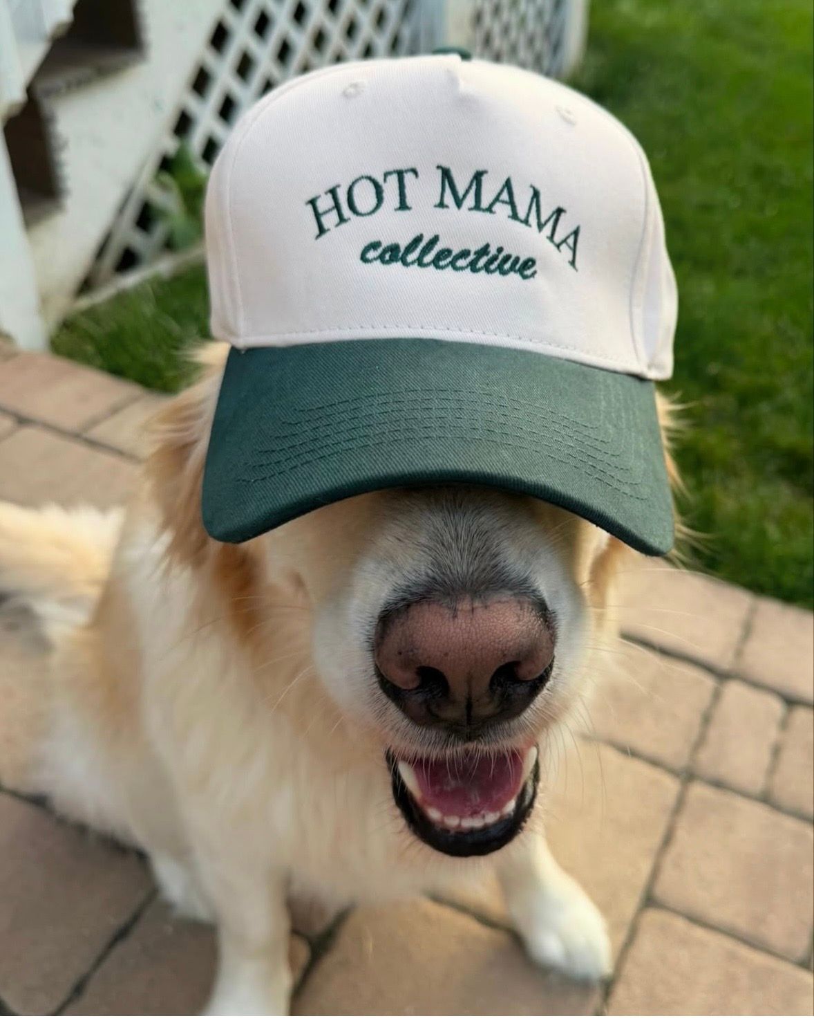 Hot Mama Collective Brushed Green Hat