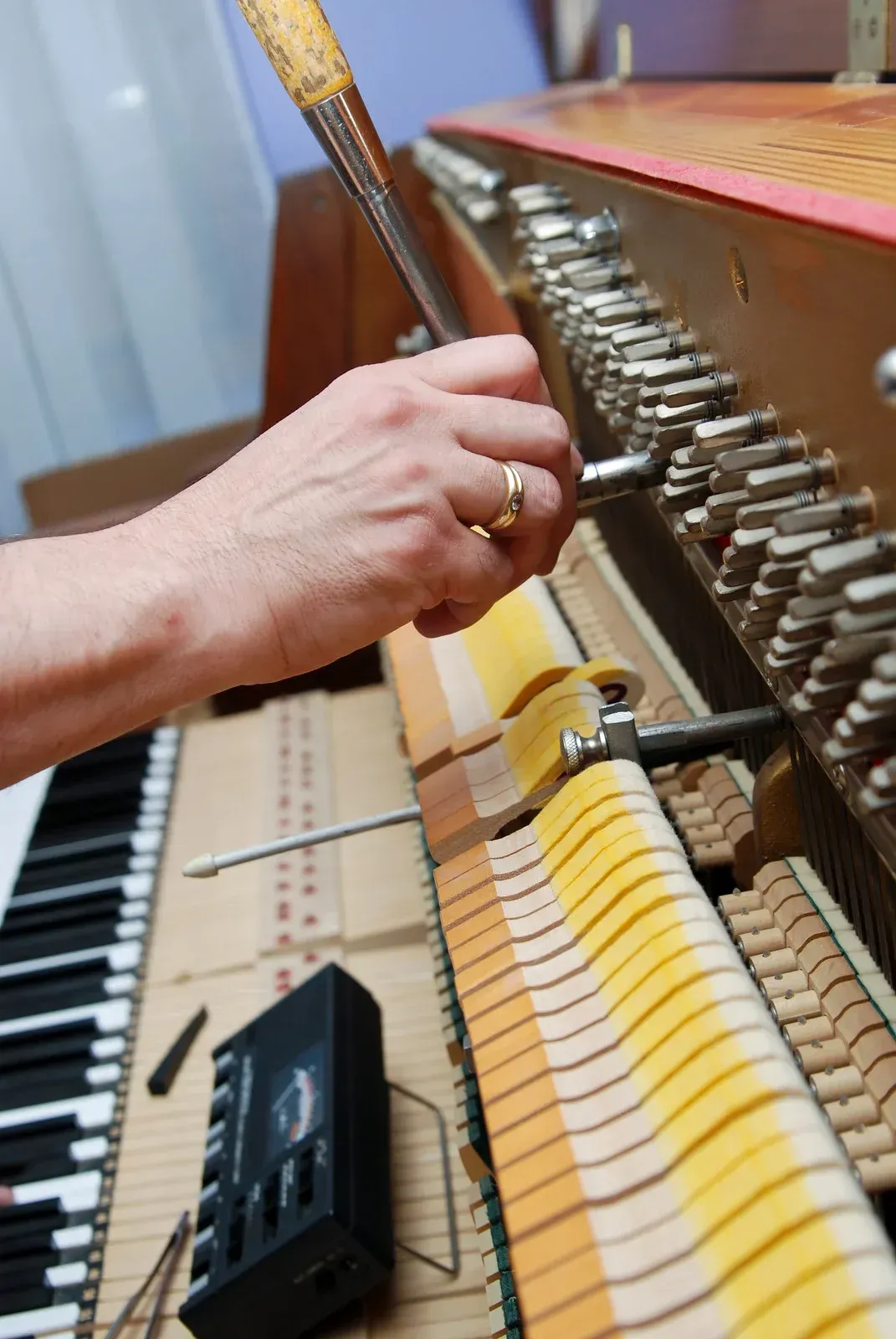 Kitchen with a wooden island, antique-style cabinet, wine rack, and green wall; hardwood floors.