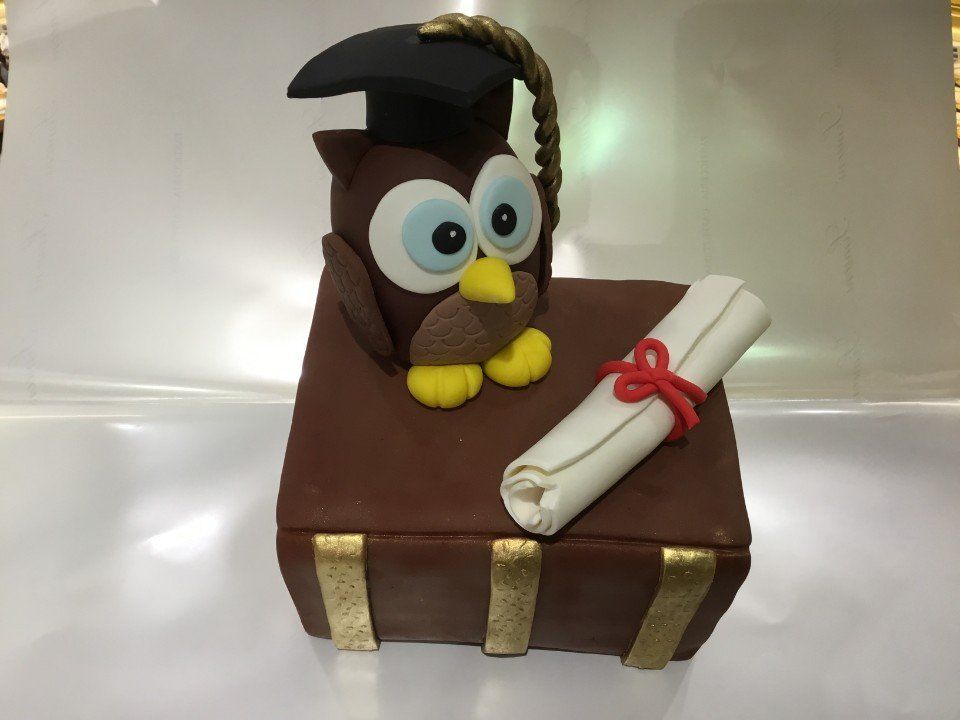 Torta personalizzata con gufo