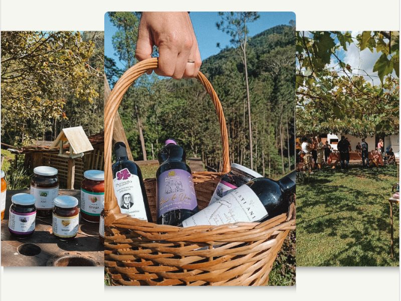 Cesta de vinho e conservas em um ambiente natural. Mão segurando a cesta, pessoas ao fundo.