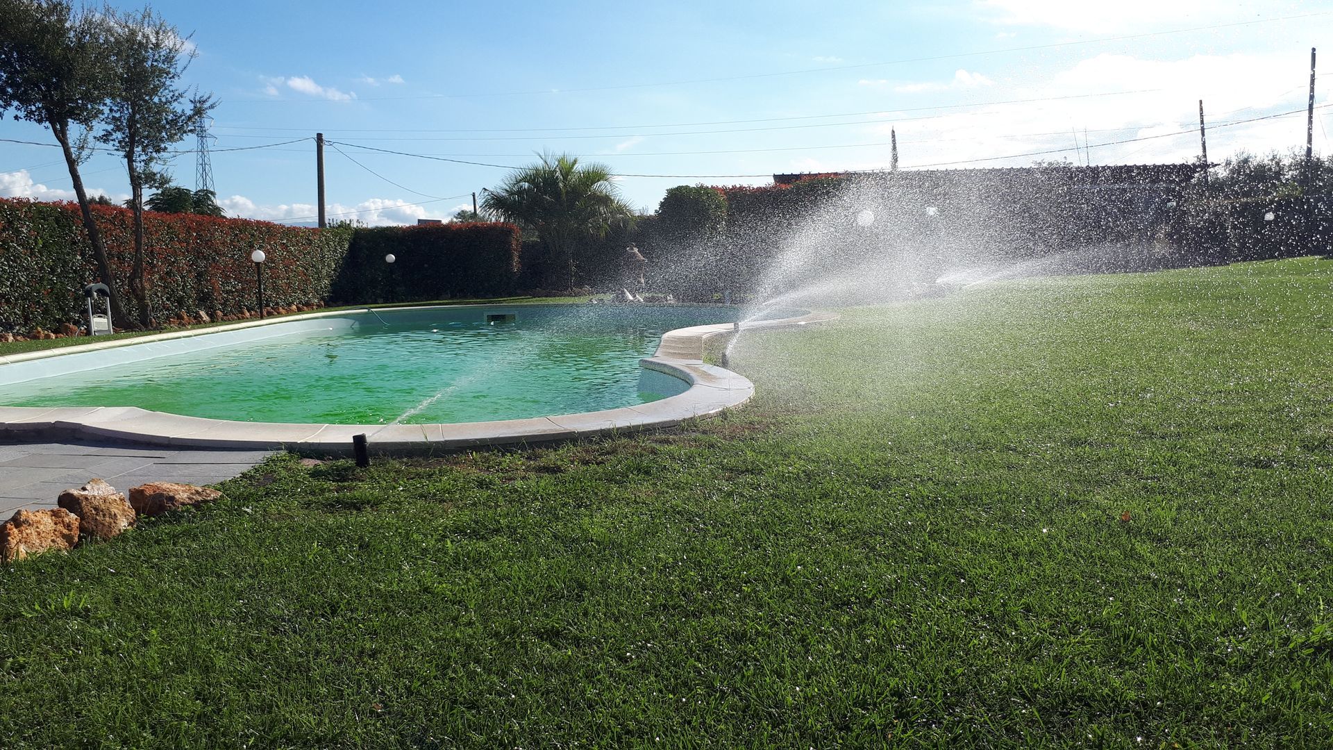 Irrigatore che irriga un prato verde accanto a una piscina, giornata di sole.