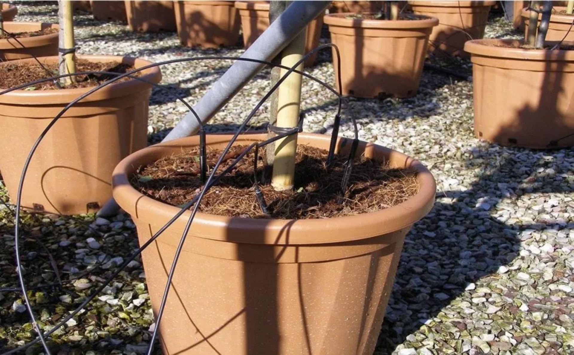 Impianto di irrigazione per vivaio