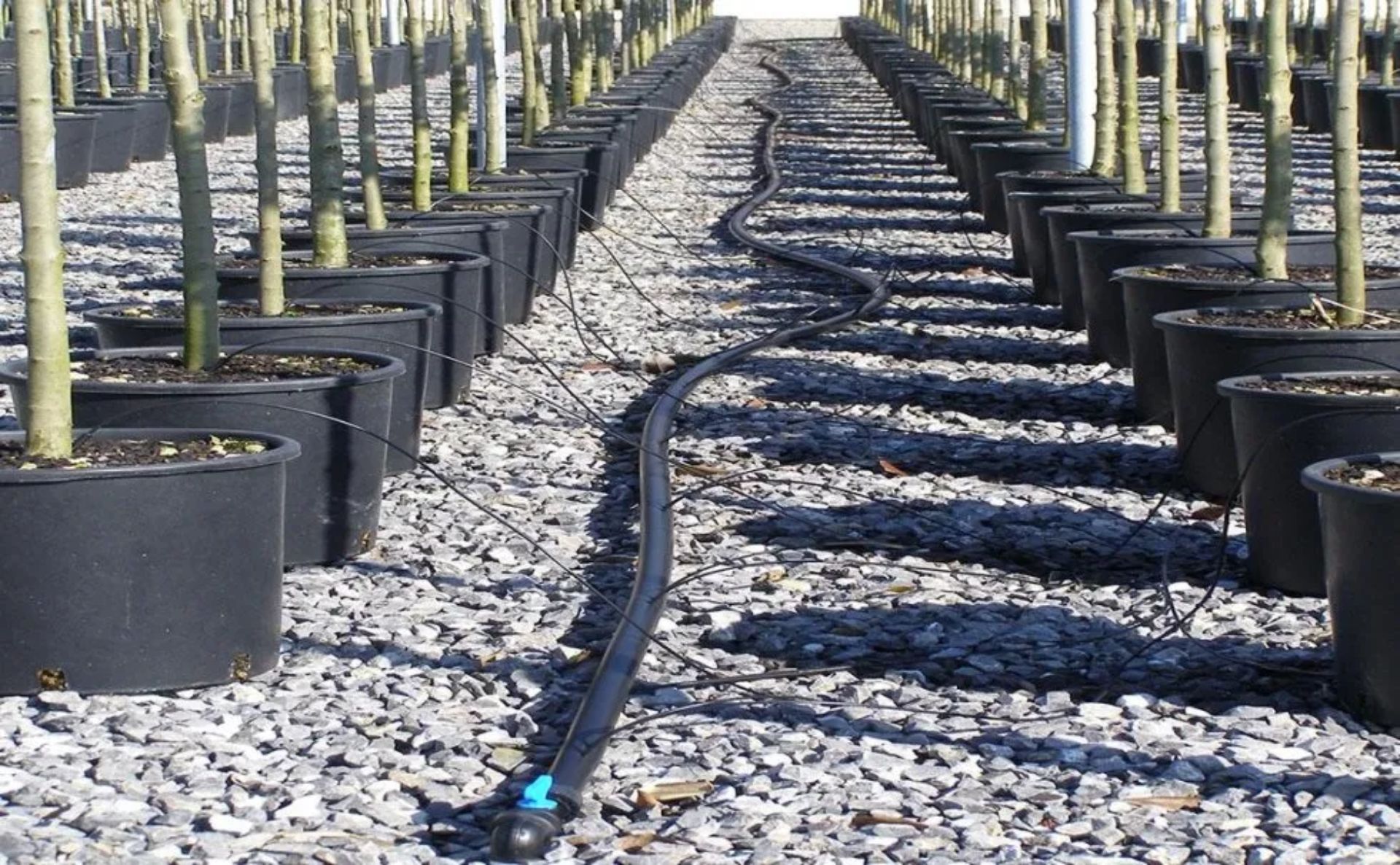 Impianto di irrigazione professionale