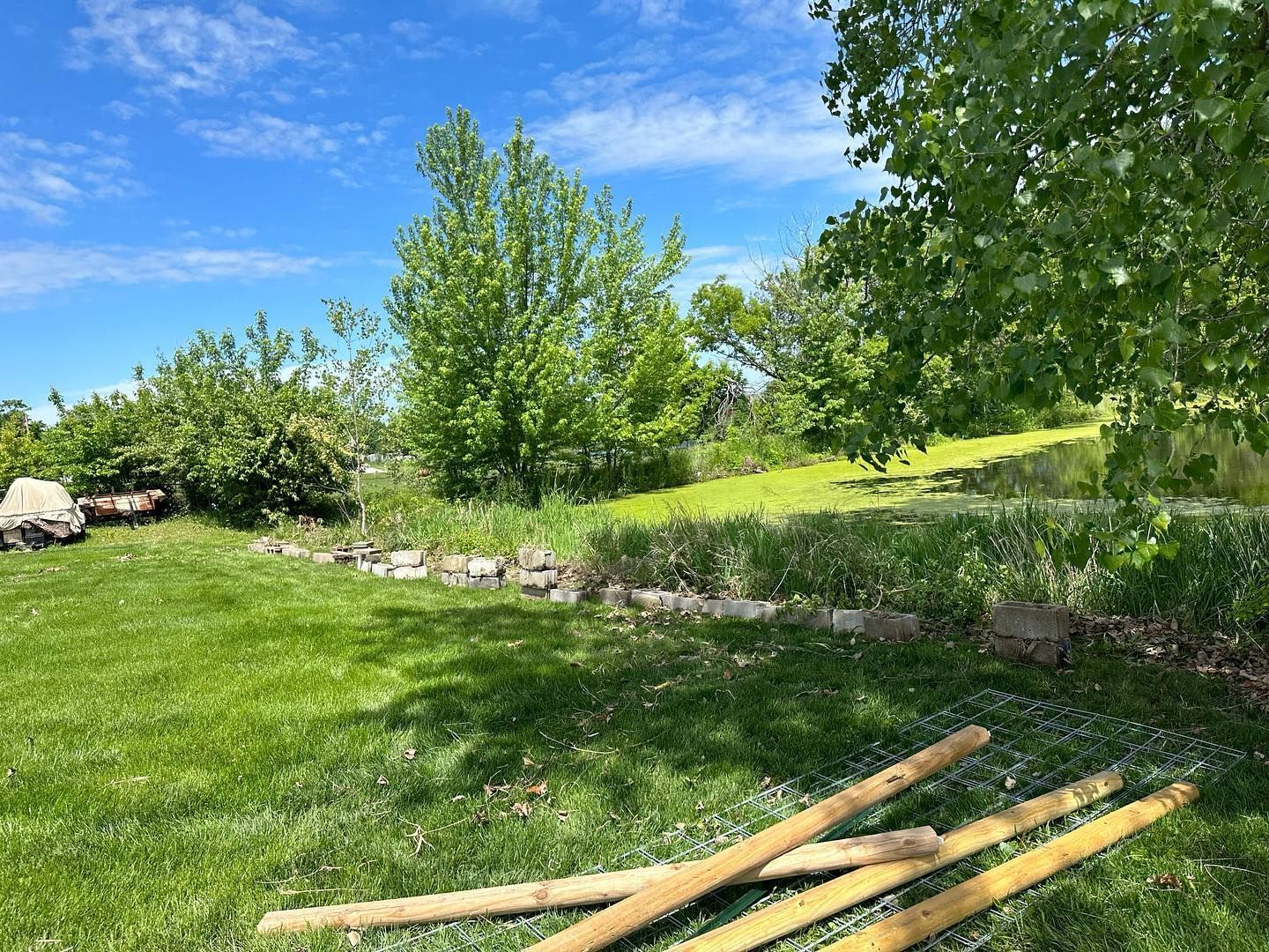 Lush green yard with scattered wood beams. Trees and shrubs surround a pond under a bright blue sky.