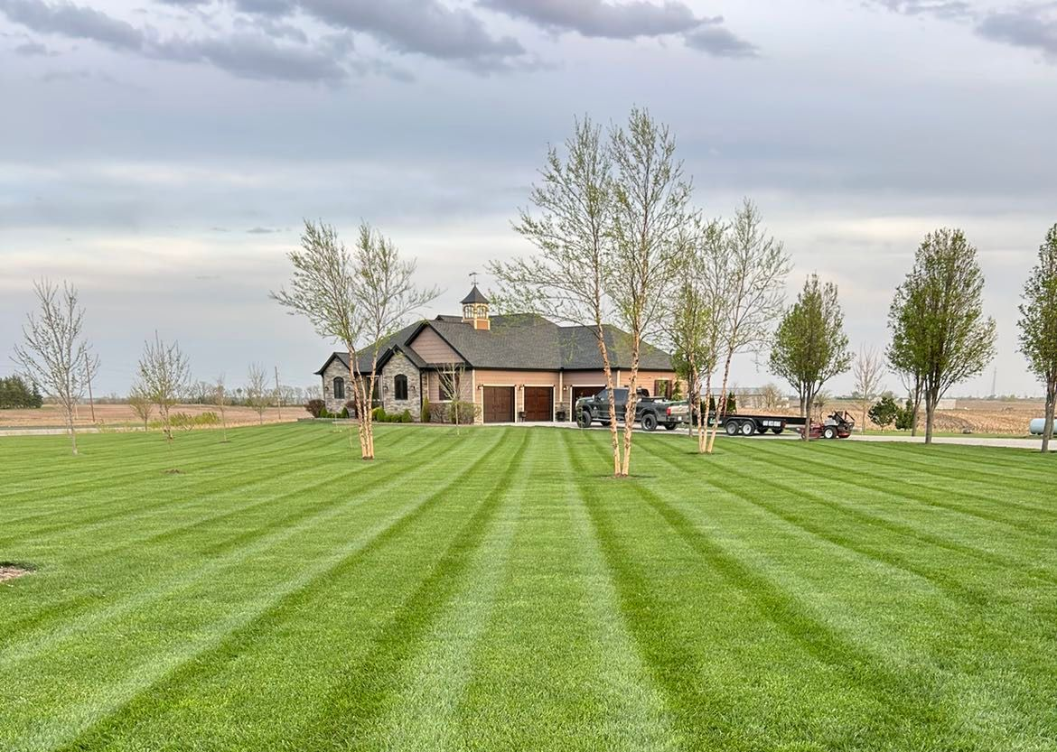 Stone house with front yard landscaping, including bushes and grass, under a blue sky.