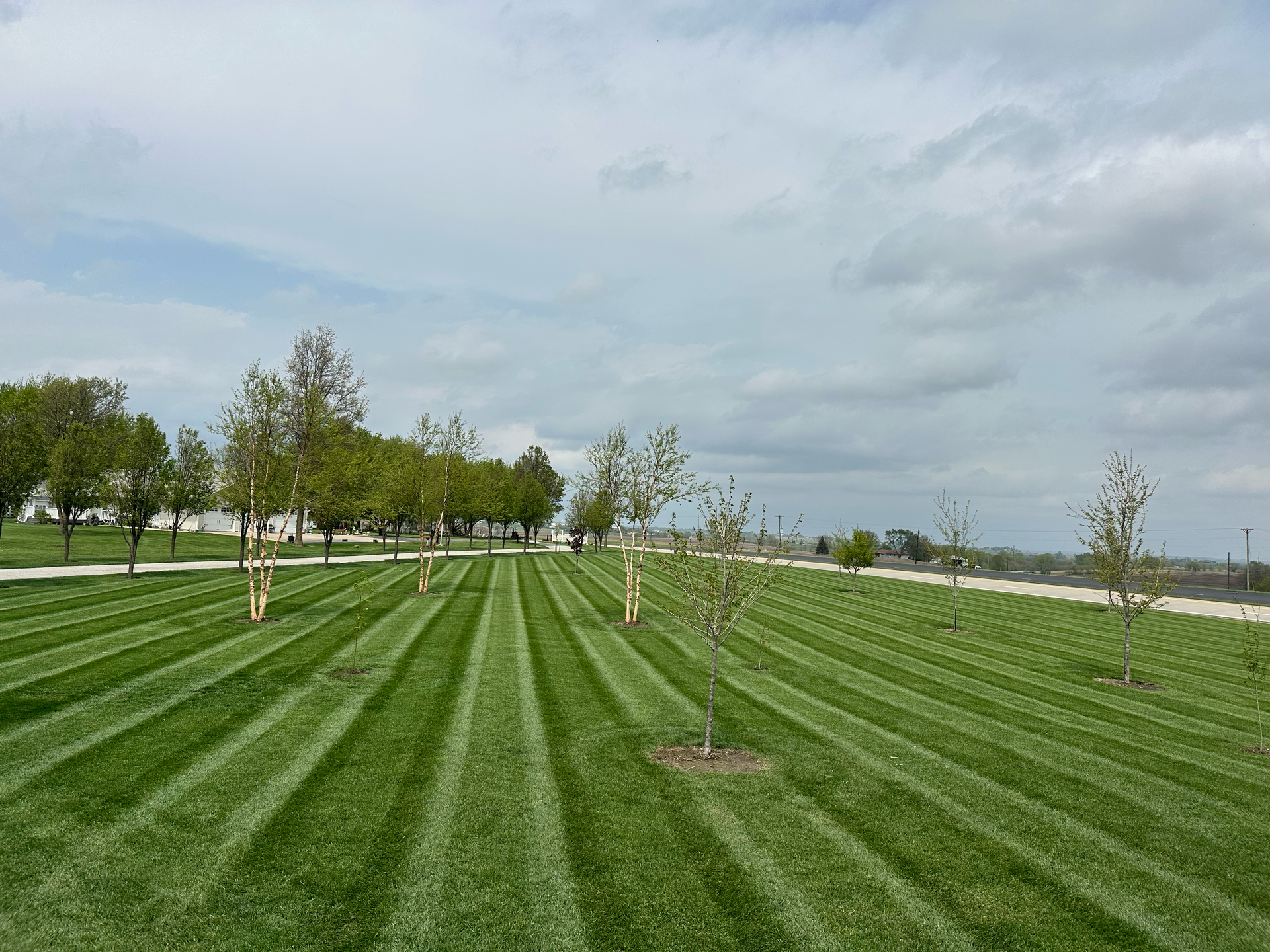 Man operates a small excavator, removing bushes next to a house. Bright sunlight, green grass.