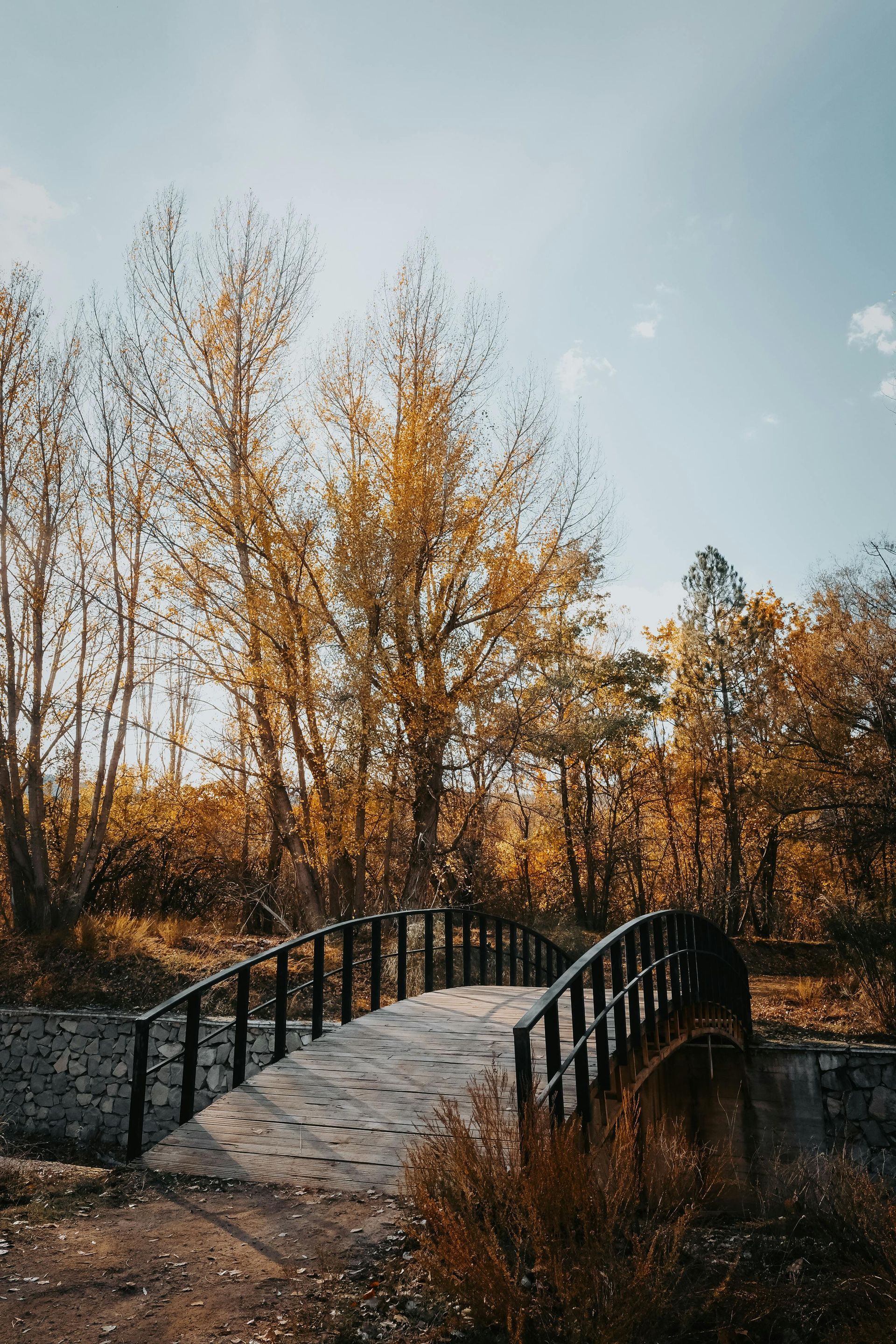 Stone house with front yard landscaping, including bushes and grass, under a blue sky.