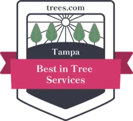 Best in Tree Services in Tampa Award