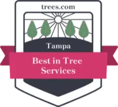 Best in Tree Services in Tampa Award