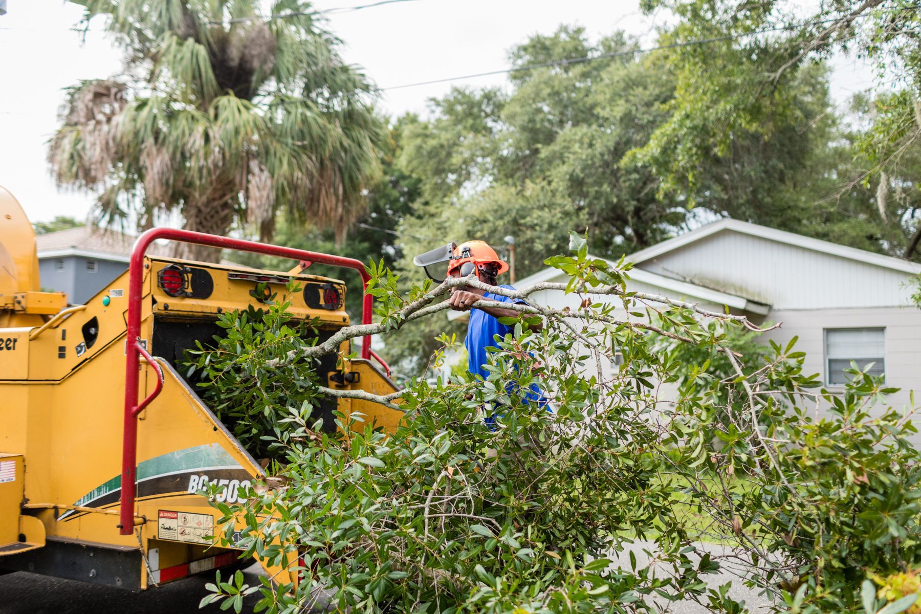 Gulf Coast Trees Team Working