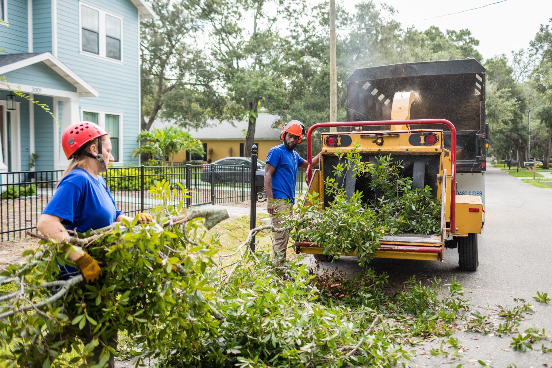 Gulf Coast Trees Team Working