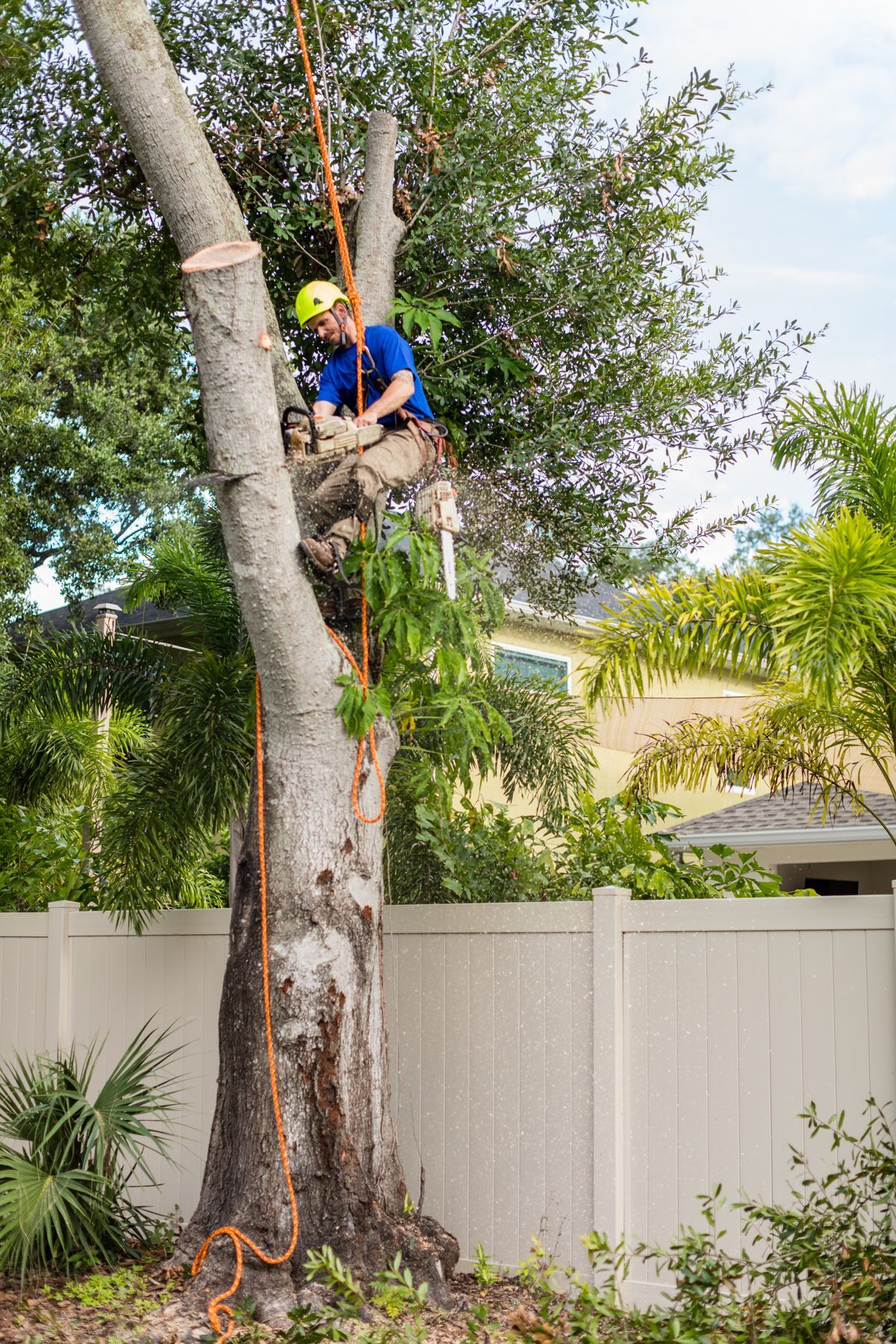 Gulf Coast Trees, INC