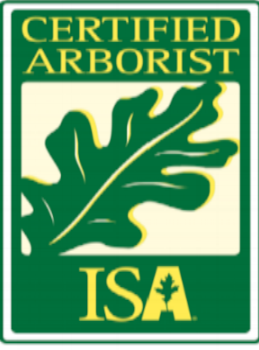 Certified Arborist ISA