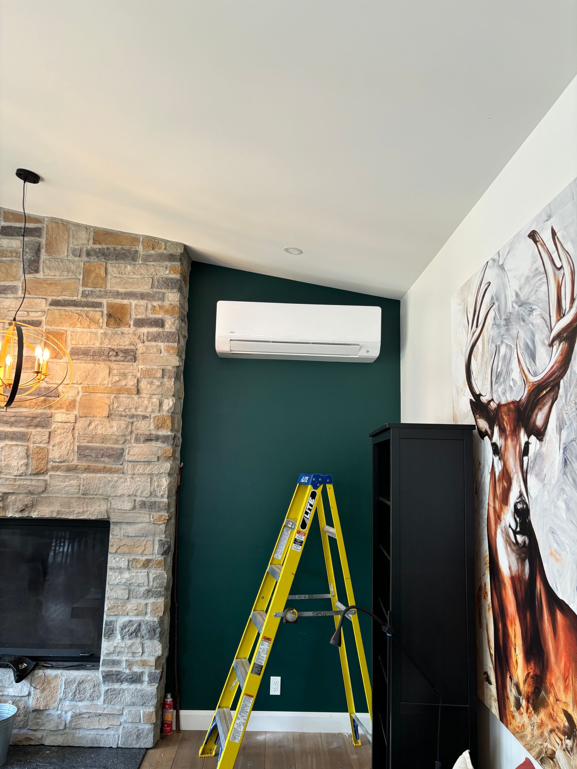 Il y a une photo d'un cerf sur le mur du salon.