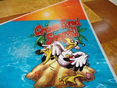 A poster that says cross eyed seagull on it