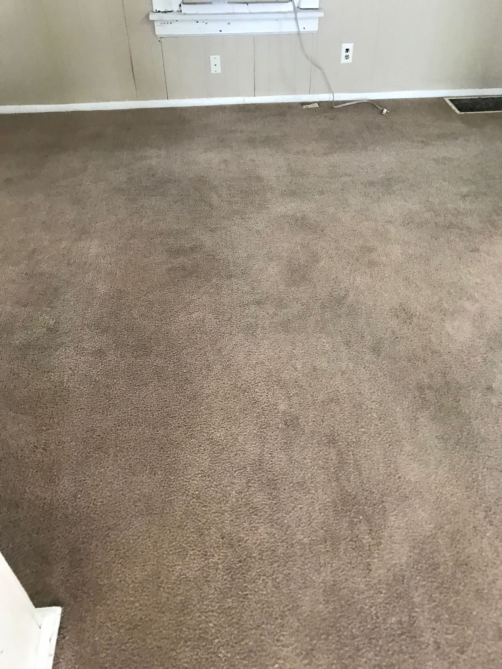 A living room with a brown carpet and a window.