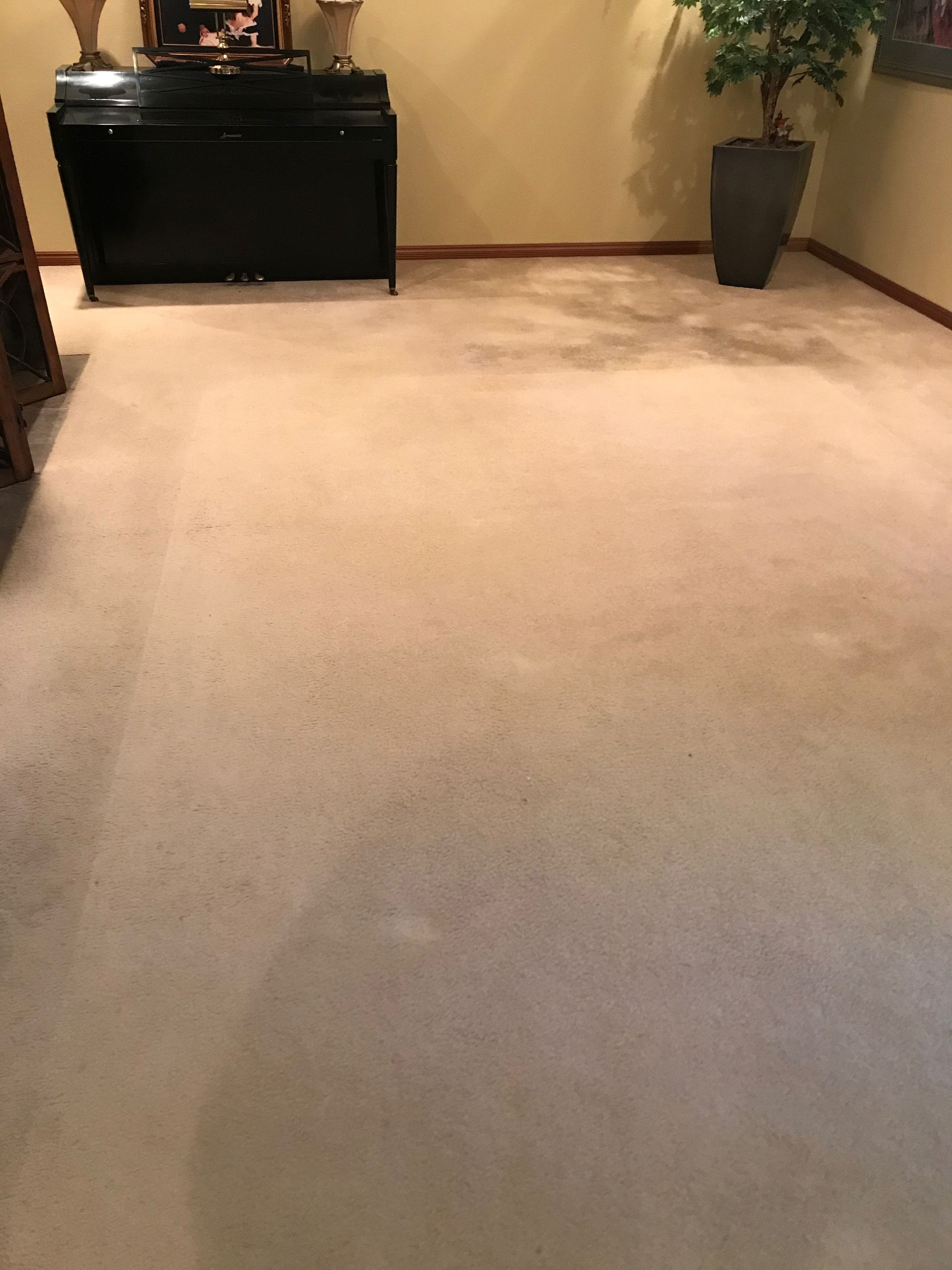 A living room with a piano and a potted plant