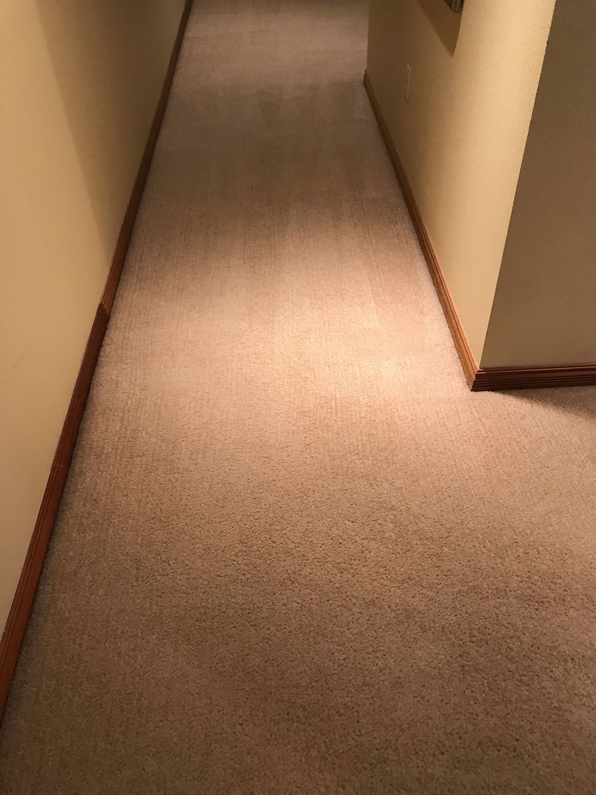 A hallway with a carpeted floor and a wooden trim.
