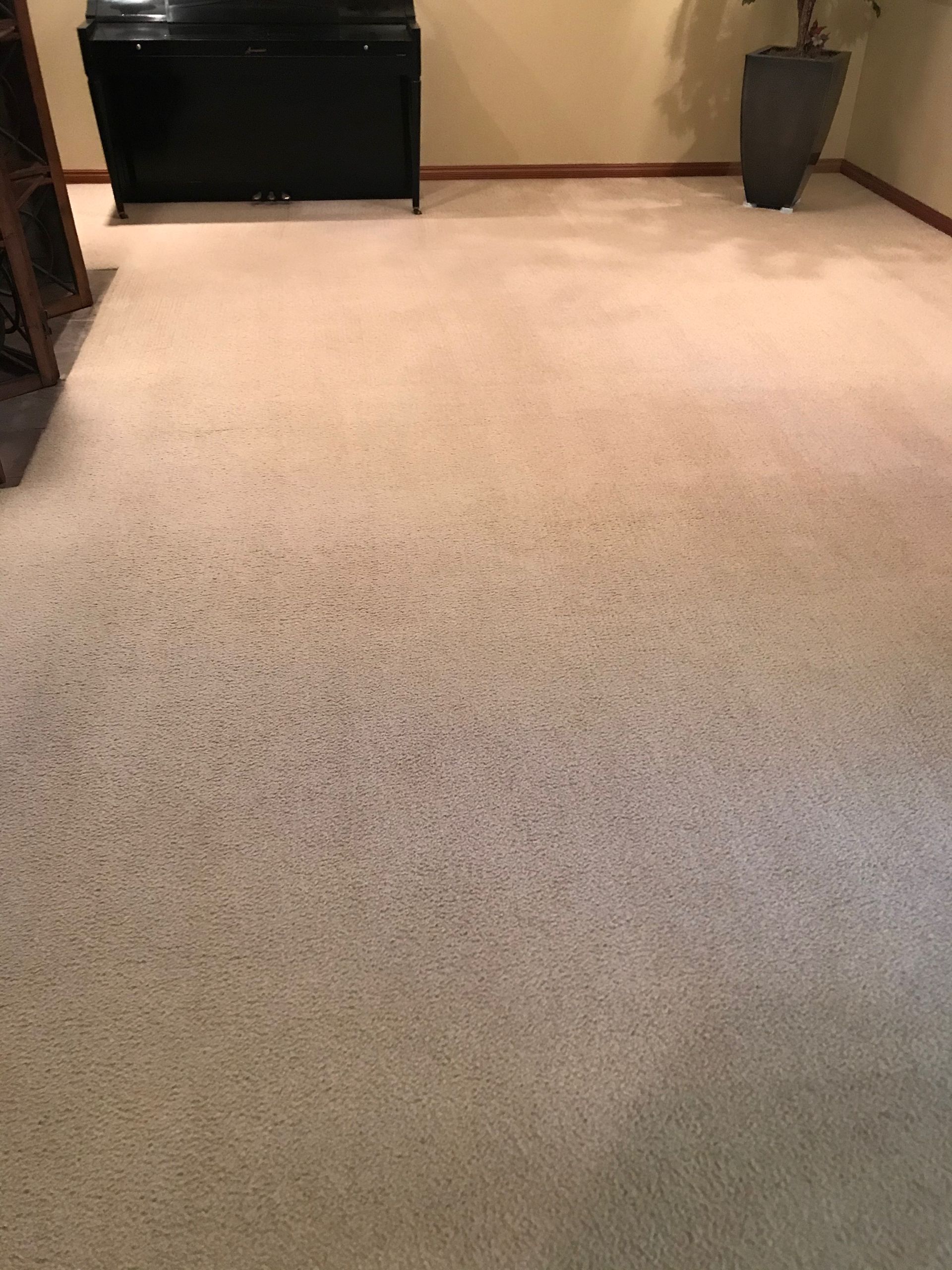 A living room with a piano and a potted plant on the floor.