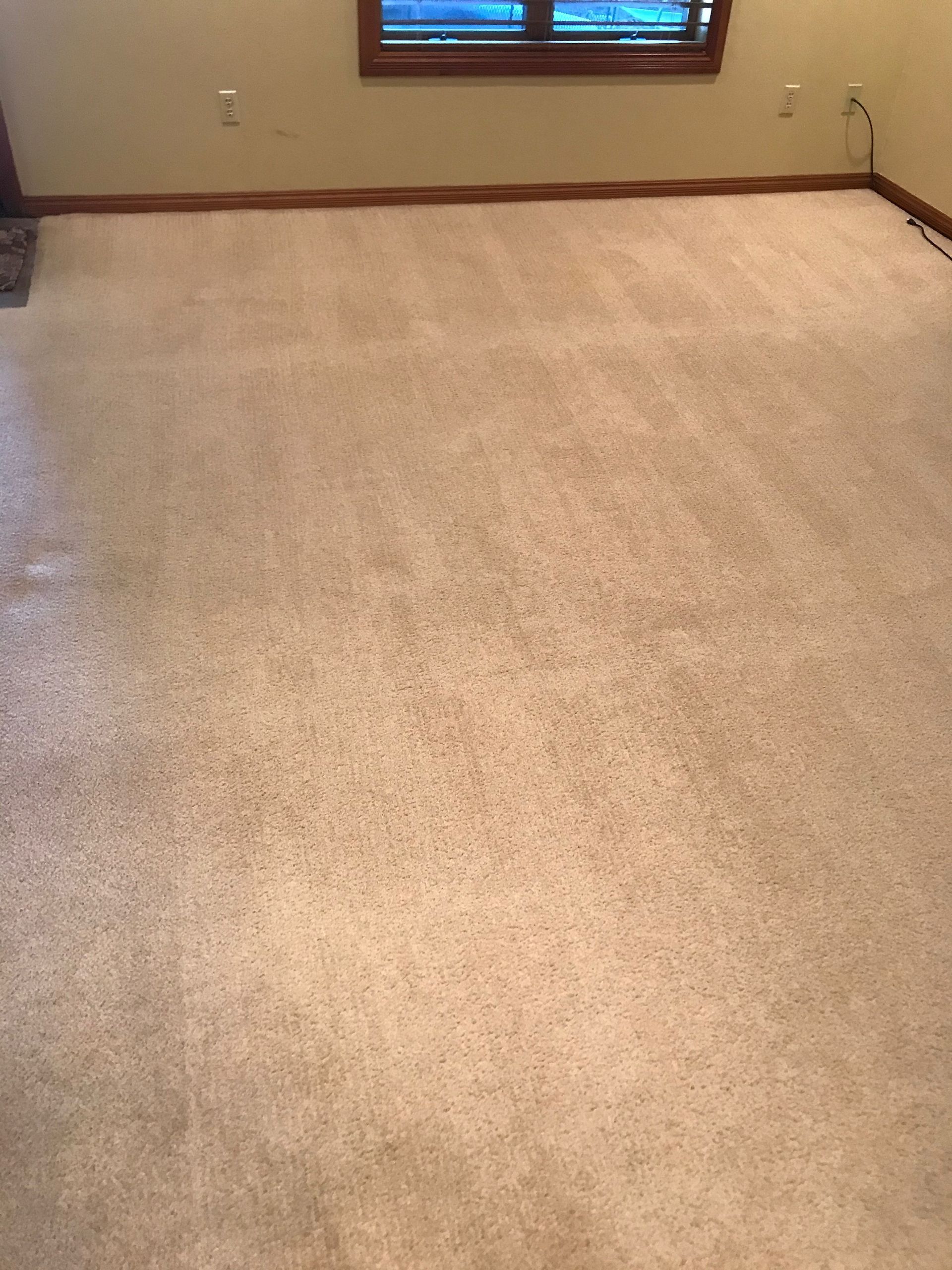 A room with a carpeted floor and two windows.