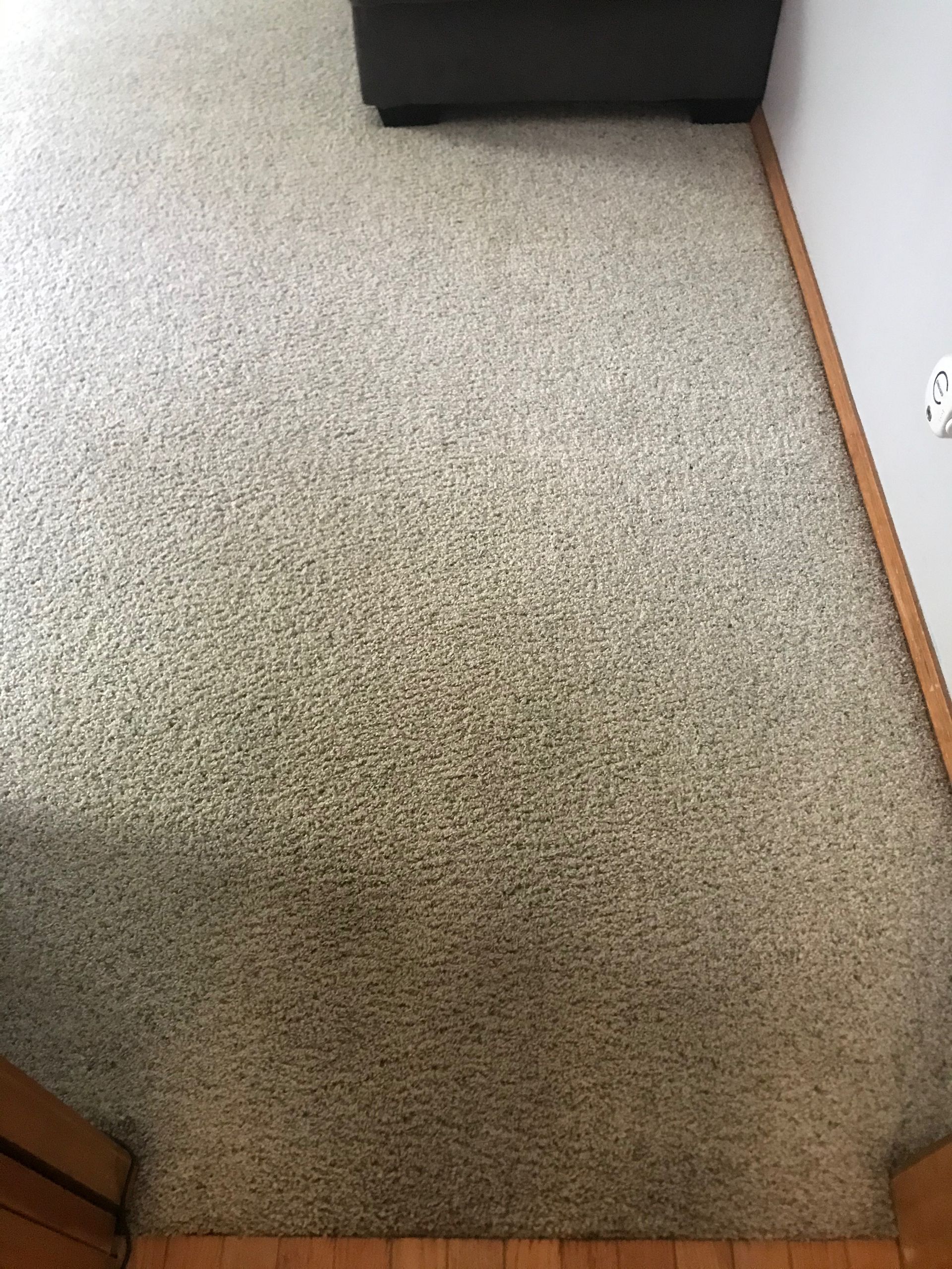 A carpeted floor in a living room with a couch in the background.