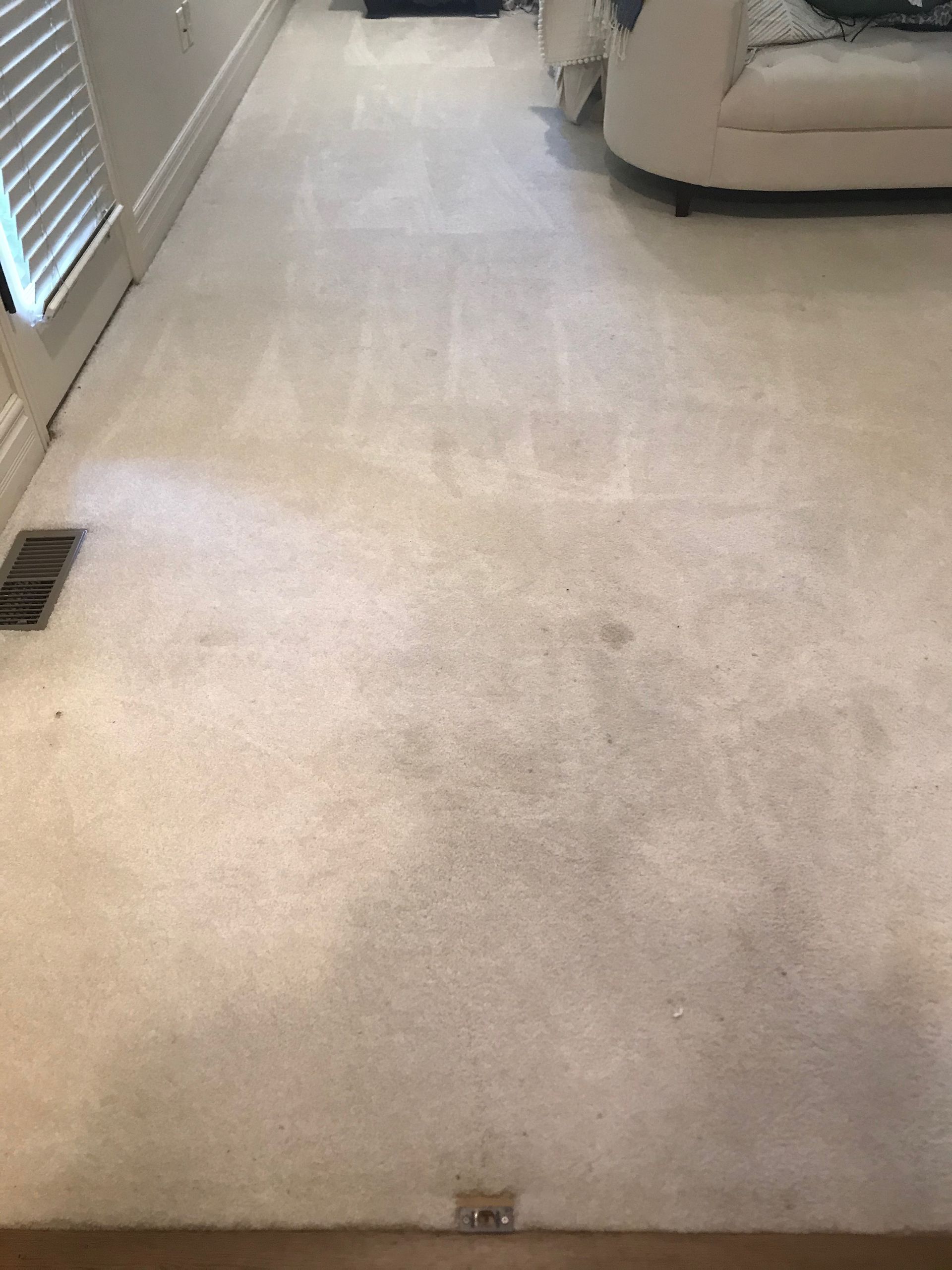 A living room with a white carpet and a white couch.