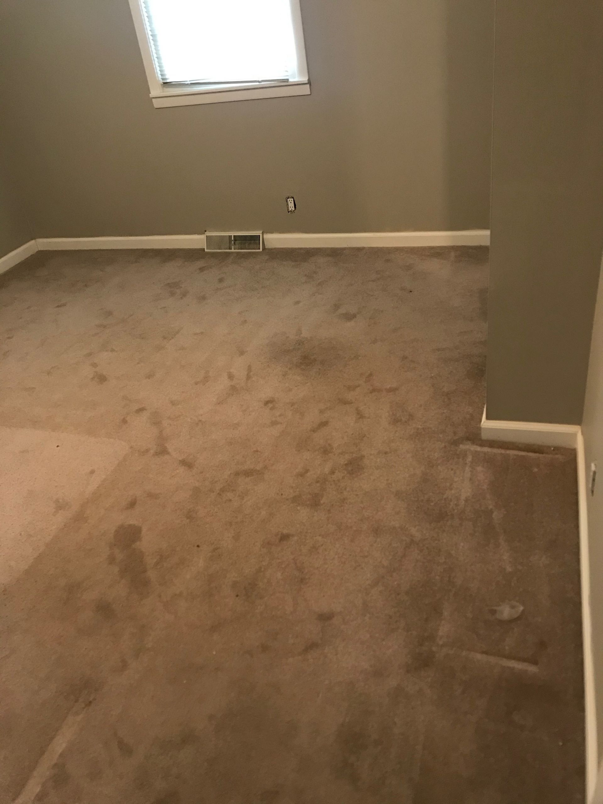 An empty room with a brown carpet and a window.