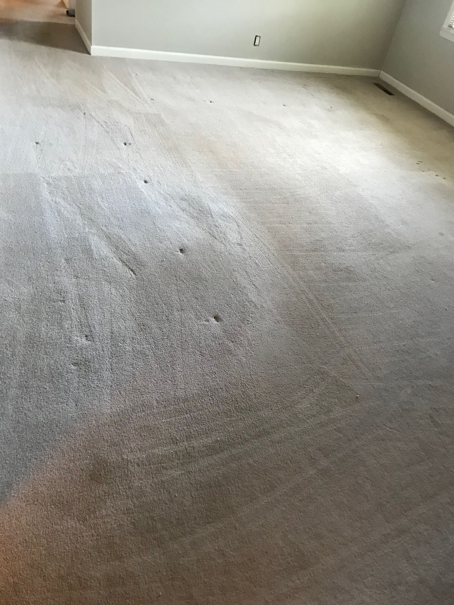 A room with a carpeted floor and a gray wall.