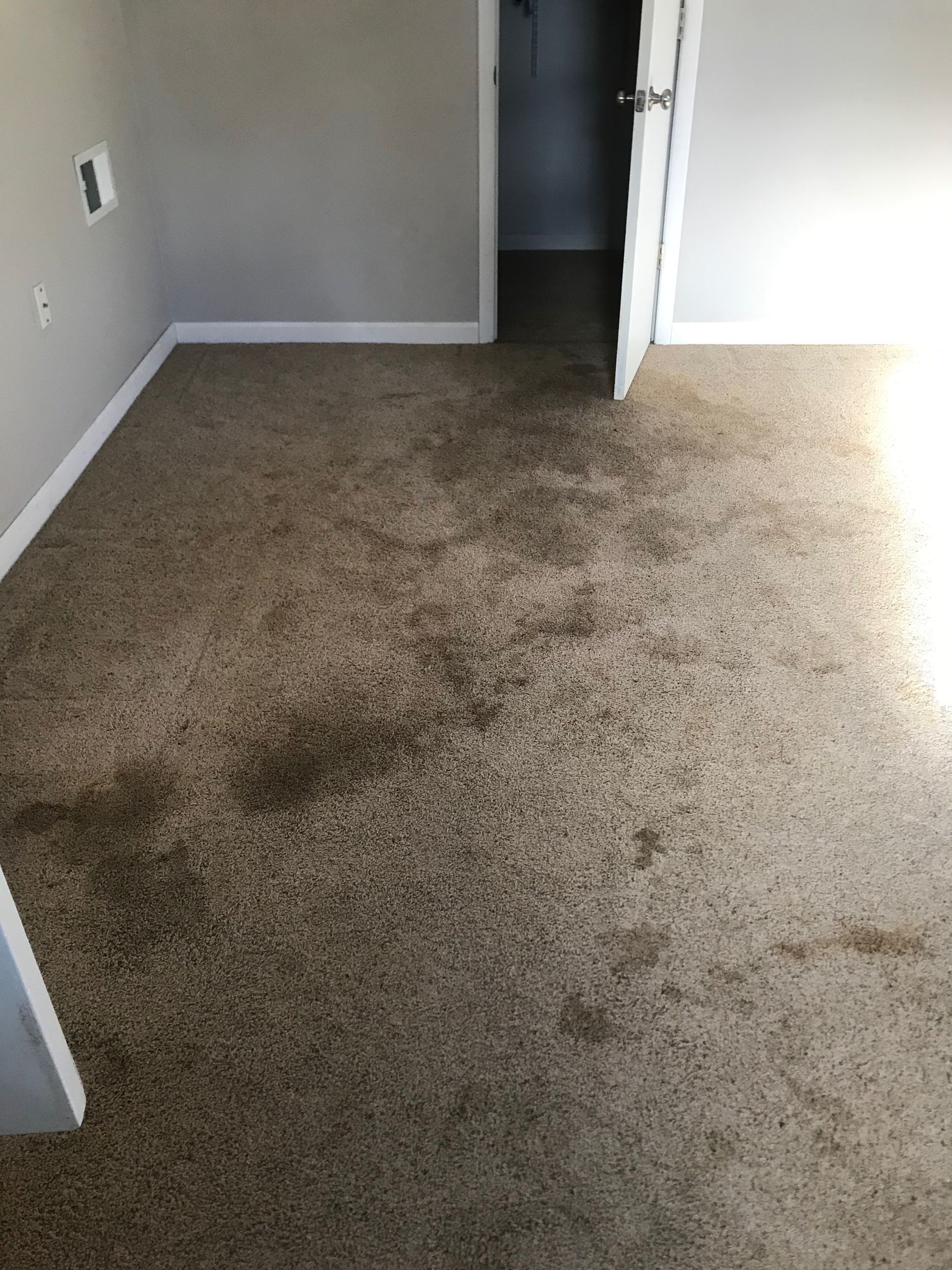 A room with a dirty carpet and a door leading to a closet.