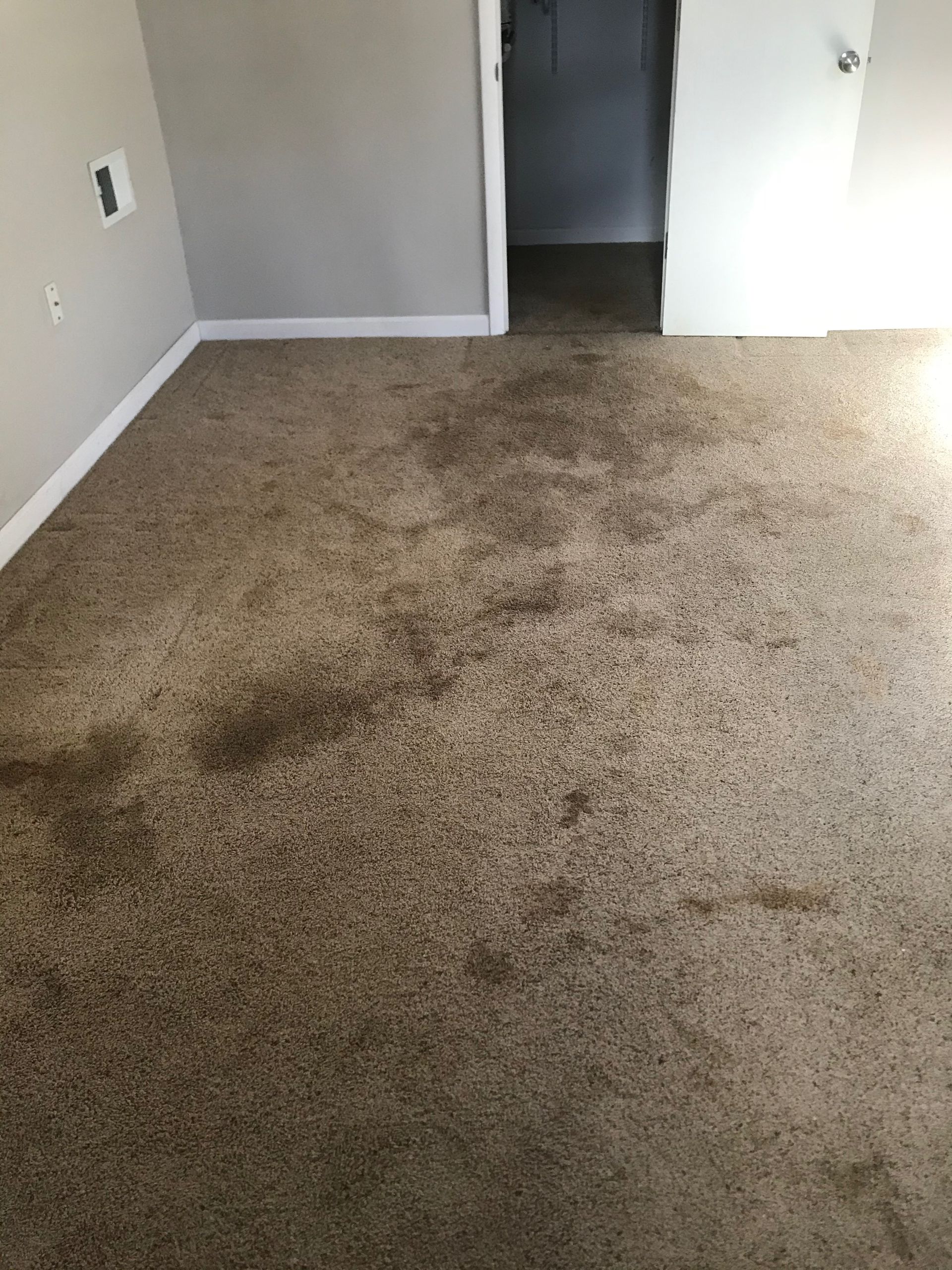 A room with a dirty carpet and a door leading to a closet.