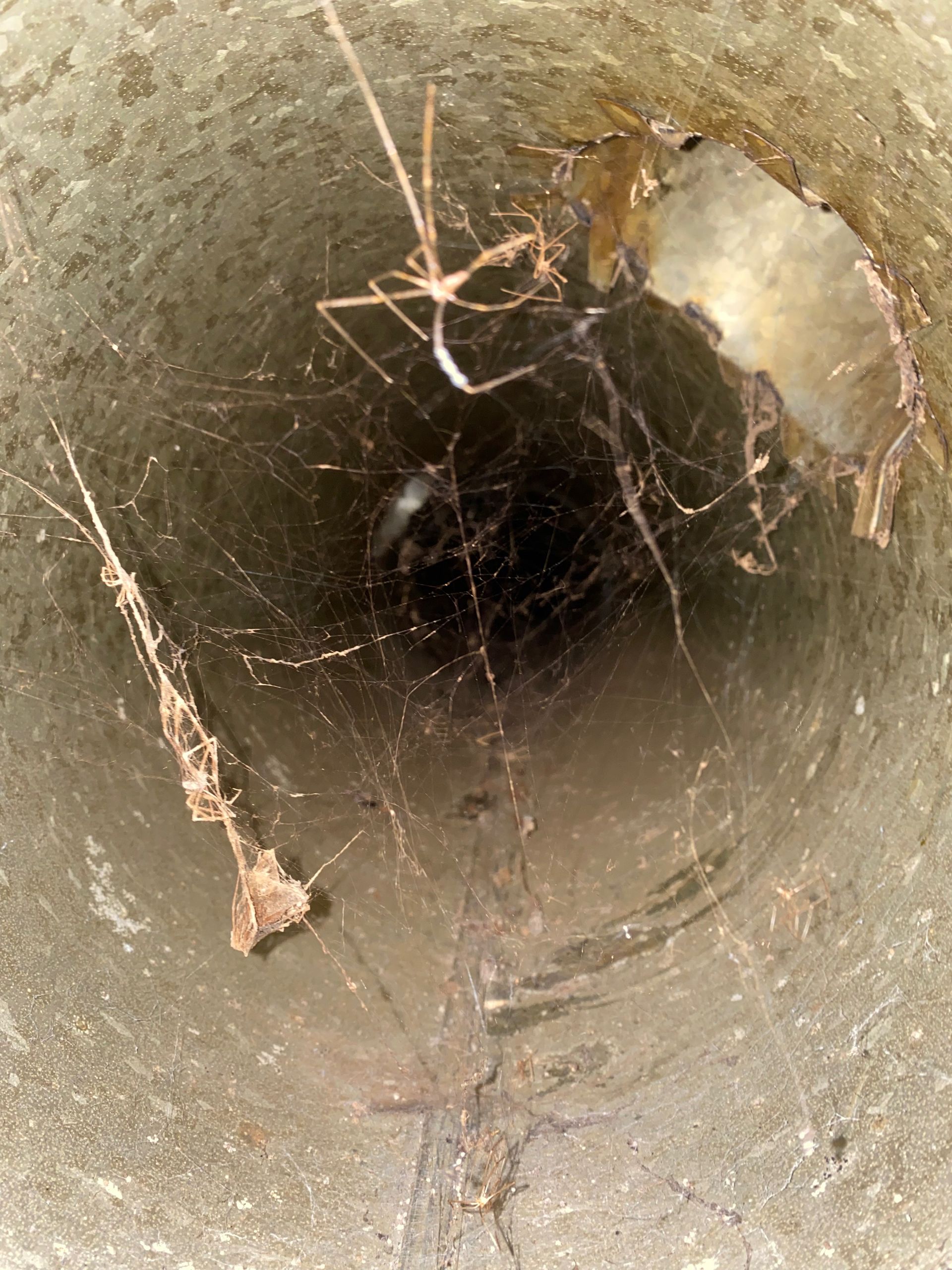 A close up of a hole in the ground with roots coming out of it