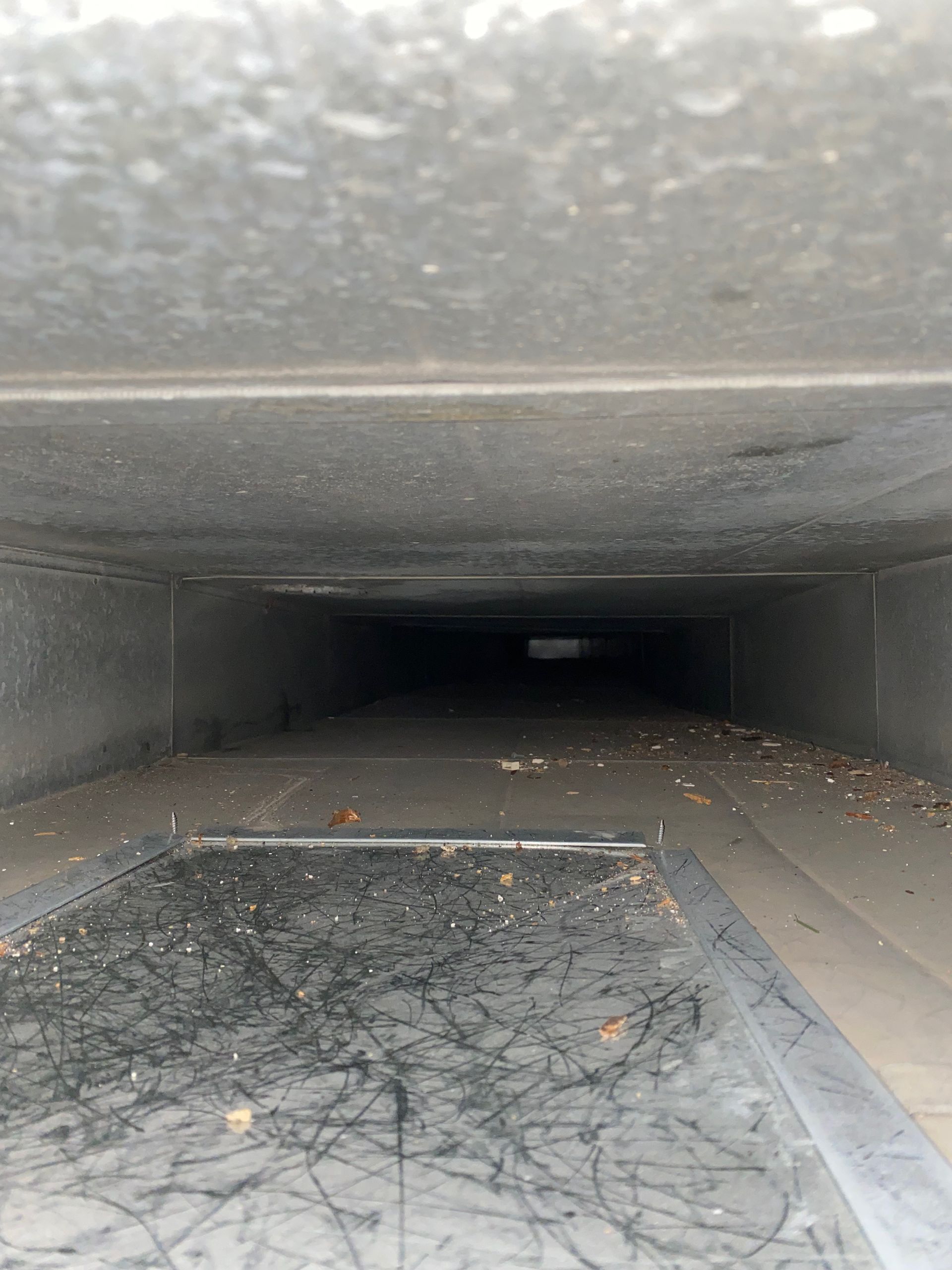 Looking down a dirty air duct with leaves on the floor.