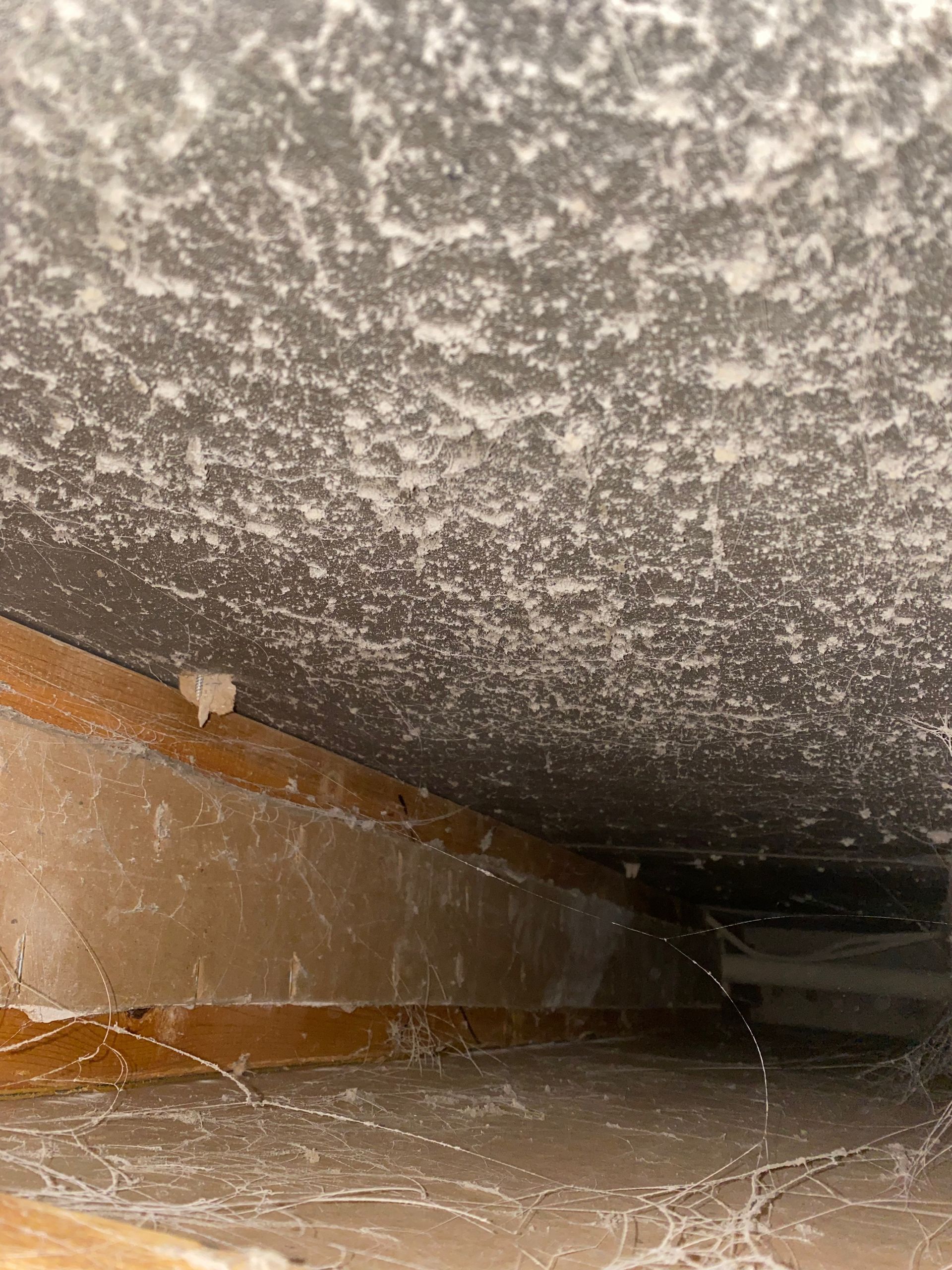 A ceiling with a lot of dust on it