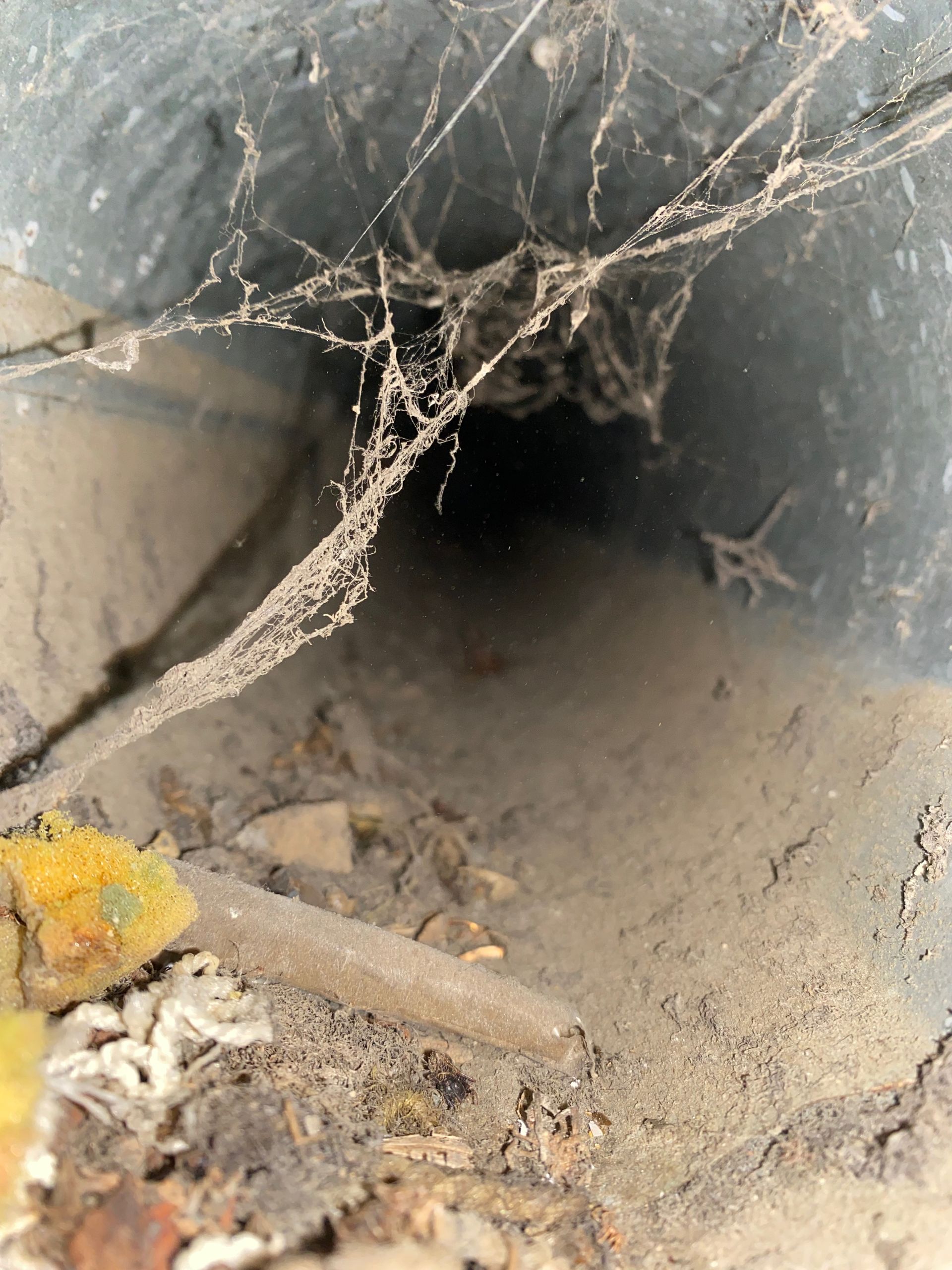 A spider web is hanging from the side of a tunnel.