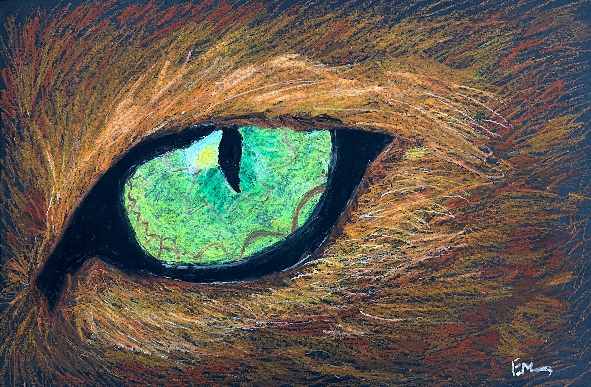 A close-up drawing of a green feline eye with dark outline, surrounded by brown fur.