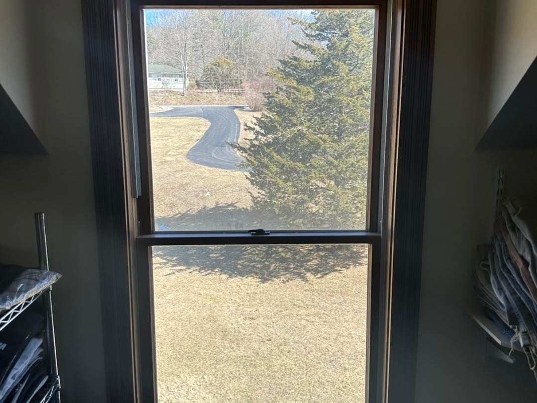 Window view: brown frame, outdoor scene with road, tree, and dry grass.