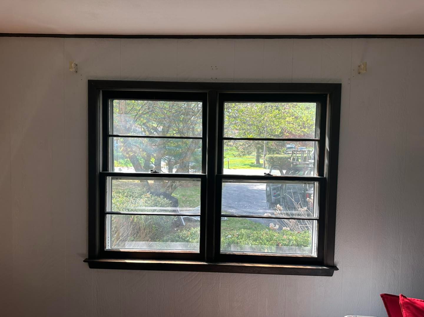 Window with black frame and divided panes, viewed from inside, showing an outside scene.