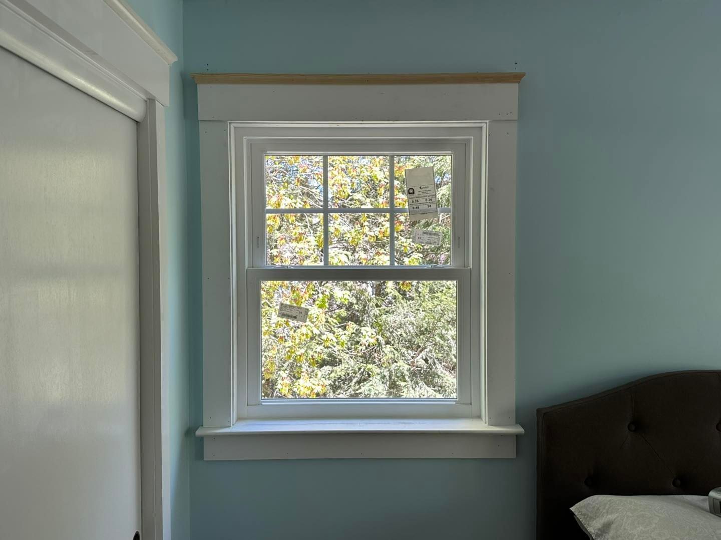 Window with white trim and a view of green foliage, set in a light blue wall.