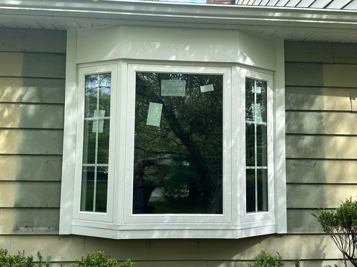 White bay window in a light yellow house. Green tree reflected in the glass.