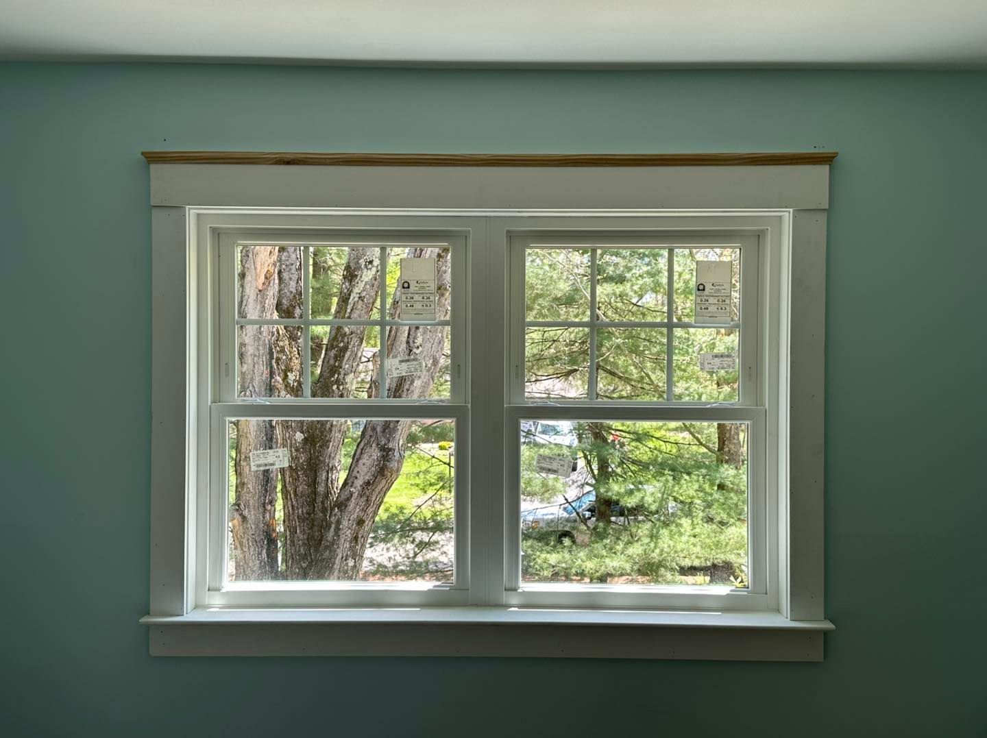White-framed double-hung window with a view of trees, set in a light blue wall.