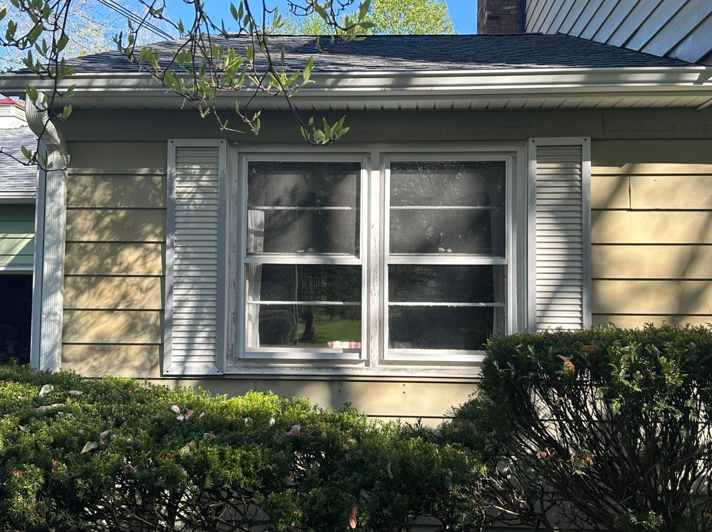 House exterior with two windows, white shutters, green bushes, and beige siding.
